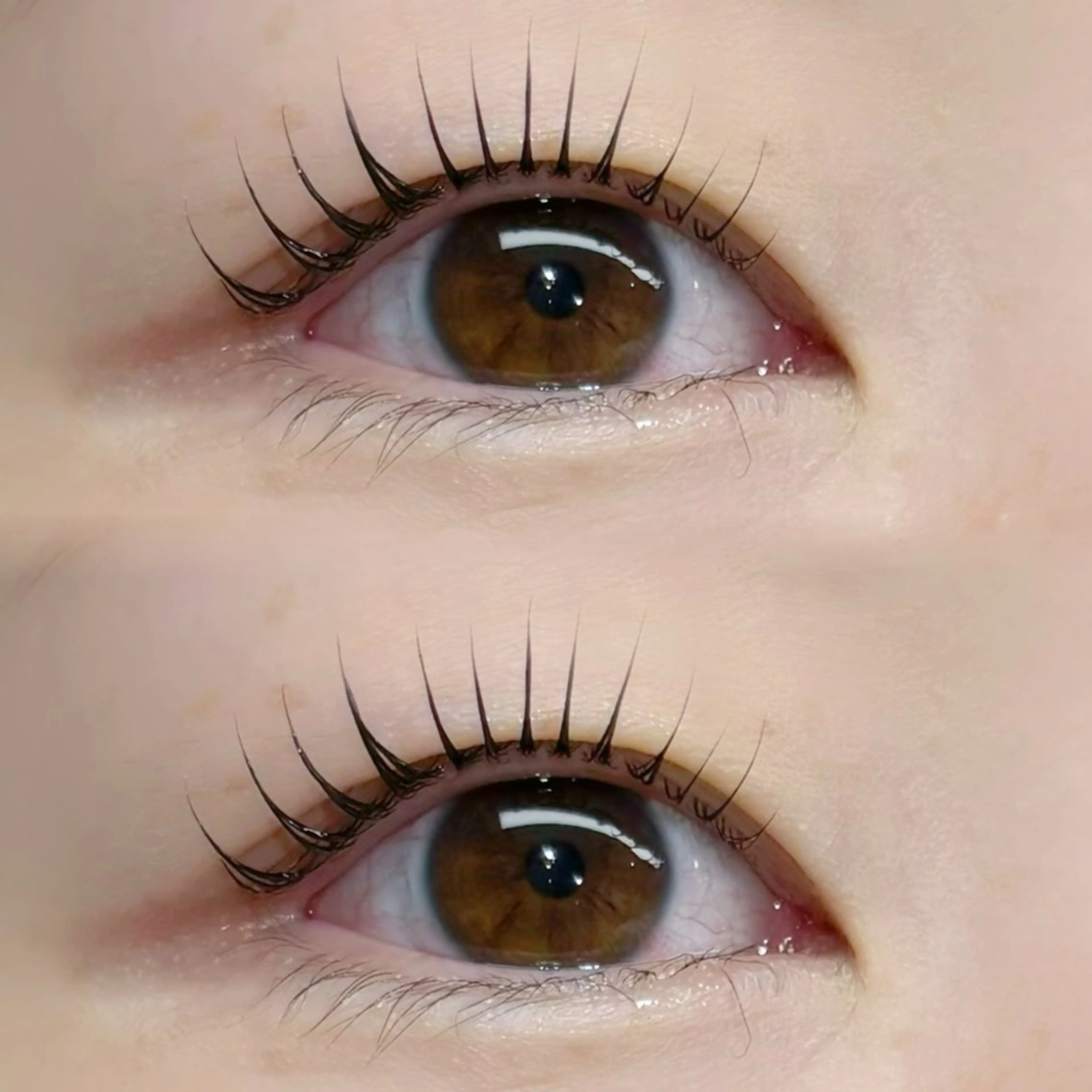 マツエク・マツパ 一重×まつ毛パーマ マツパ GALLARIA Eye　design所属・佐々木 奏のマツエク・マツパデザイン