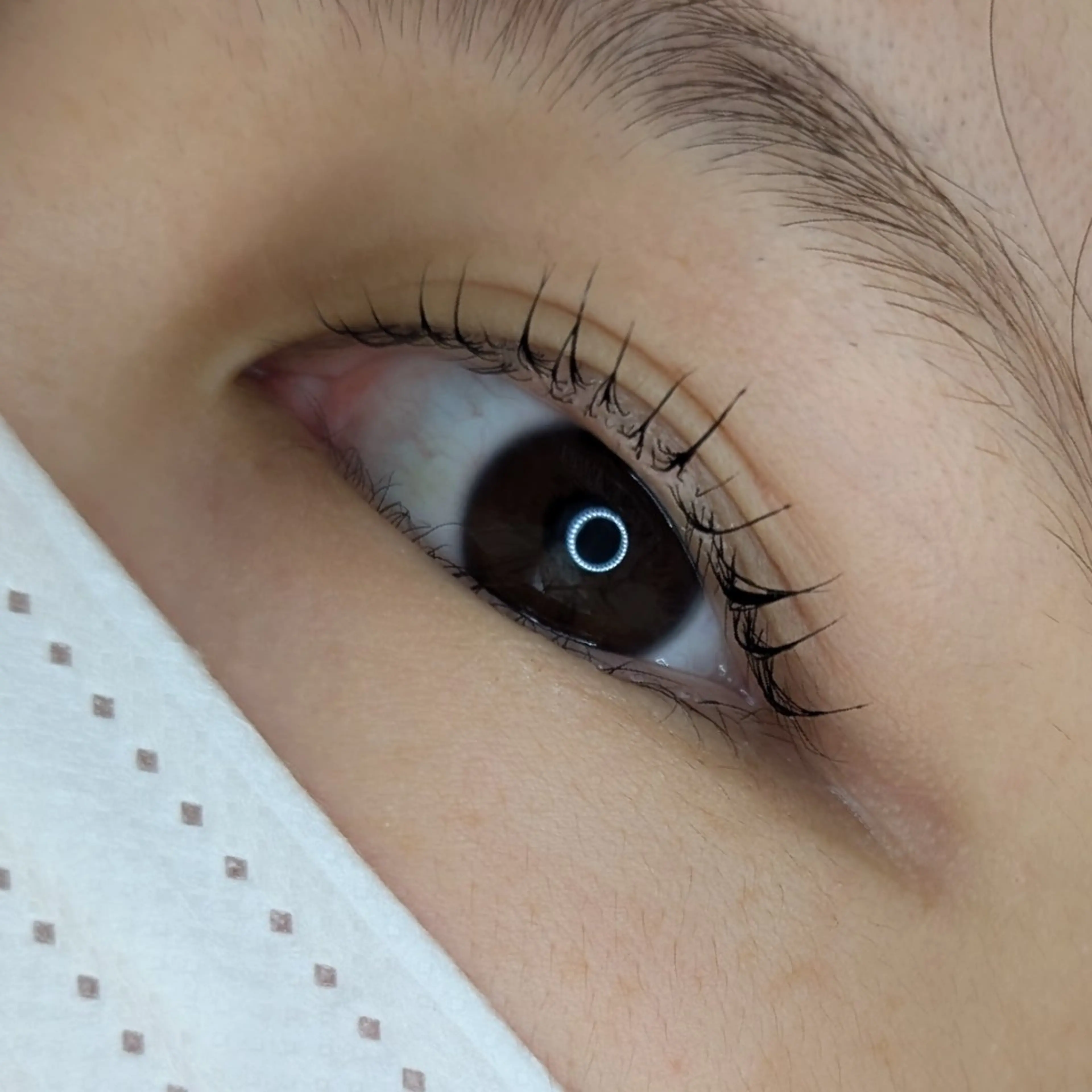 マツエク・マツパ マツパ のなか みきのマツエク・マツパデザイン