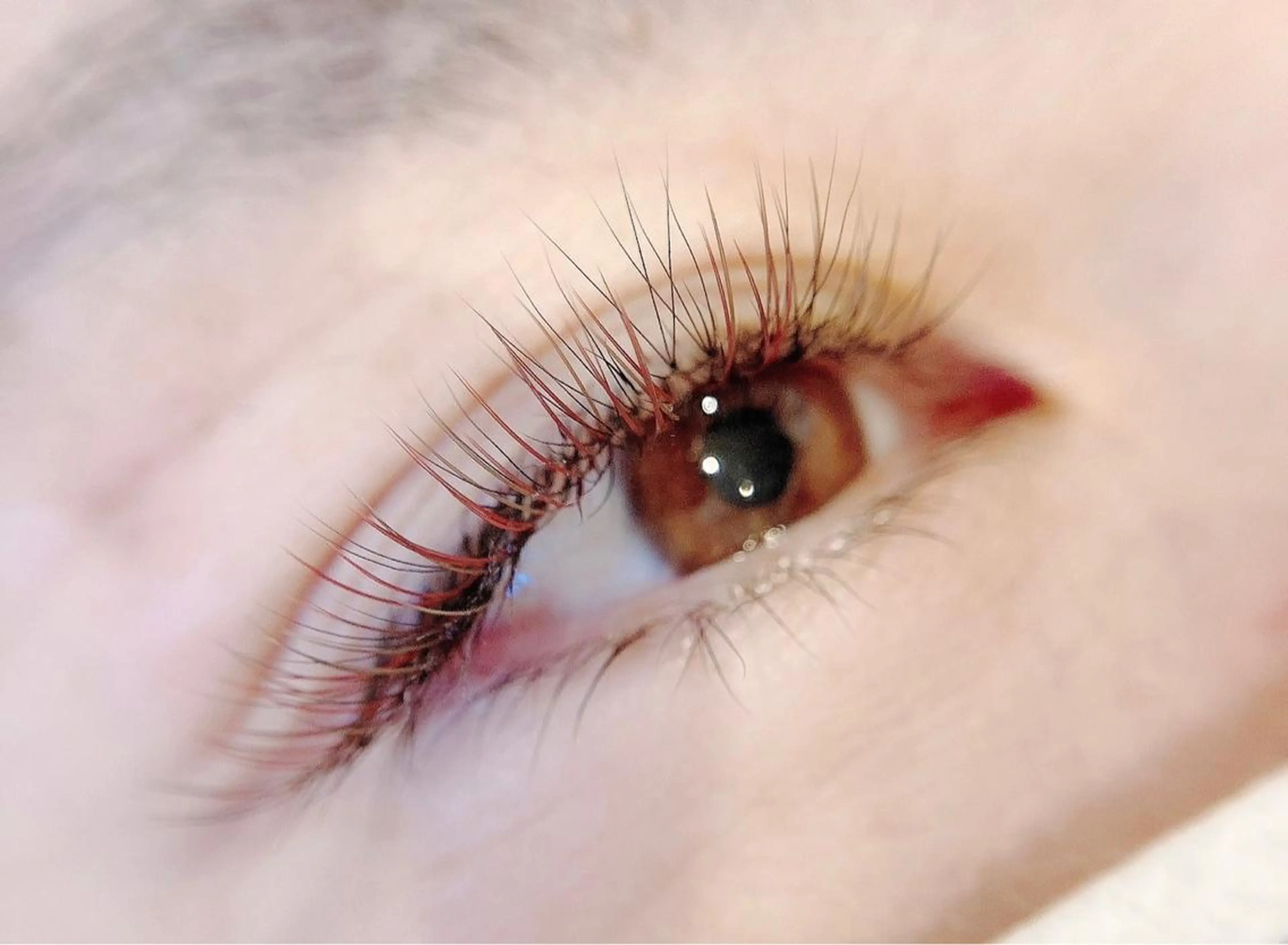 マツエク・マツパ ボリュームラッシュ 1席のみサロンvi ctoriaeyeの眉毛・アイブロウイメージ