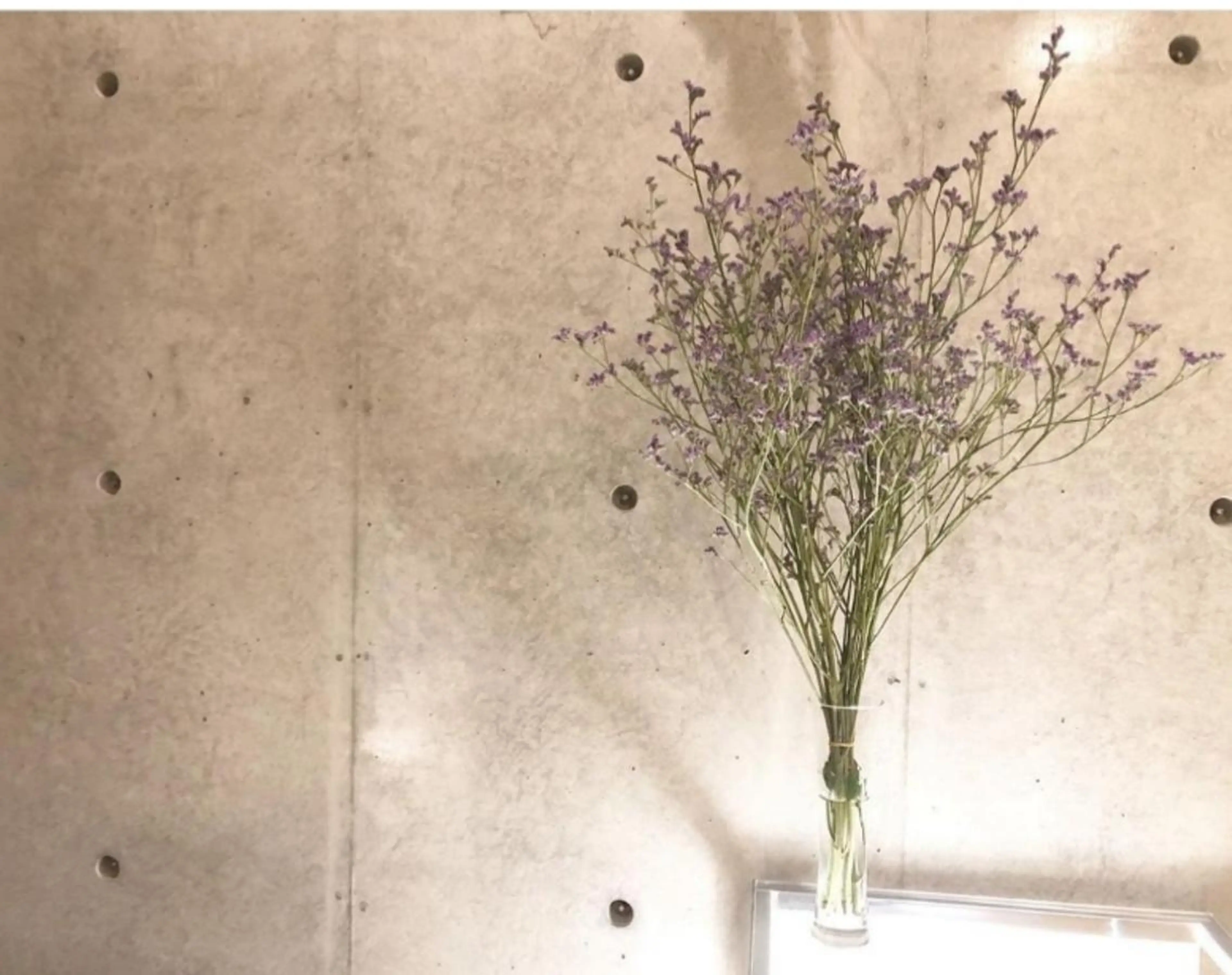 NAZ eyelash&eyebrow by medical salon所属・NAZ 表参道 Tomokoのマツエク・マツパデザイン