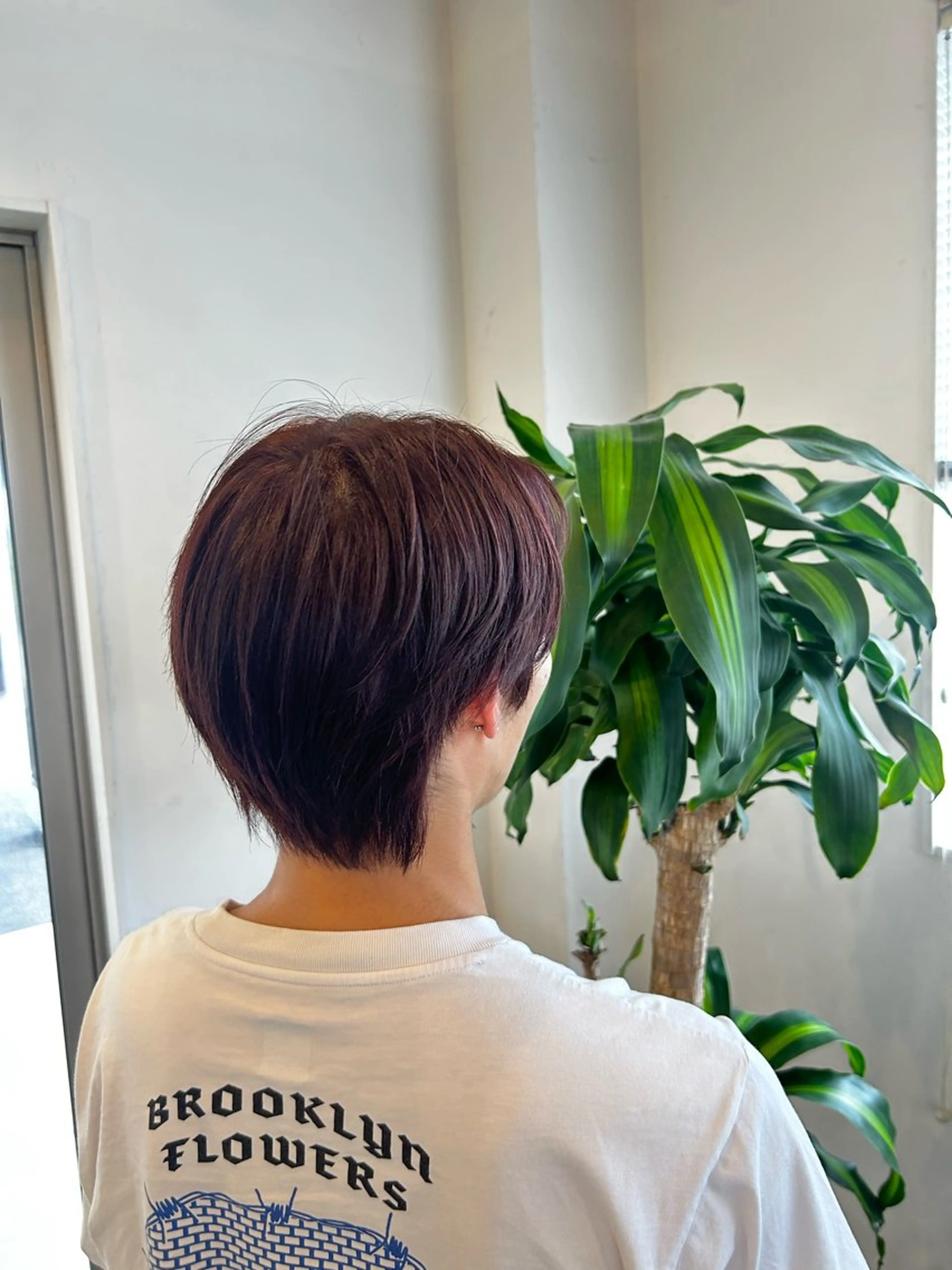 ワンカラーの写真