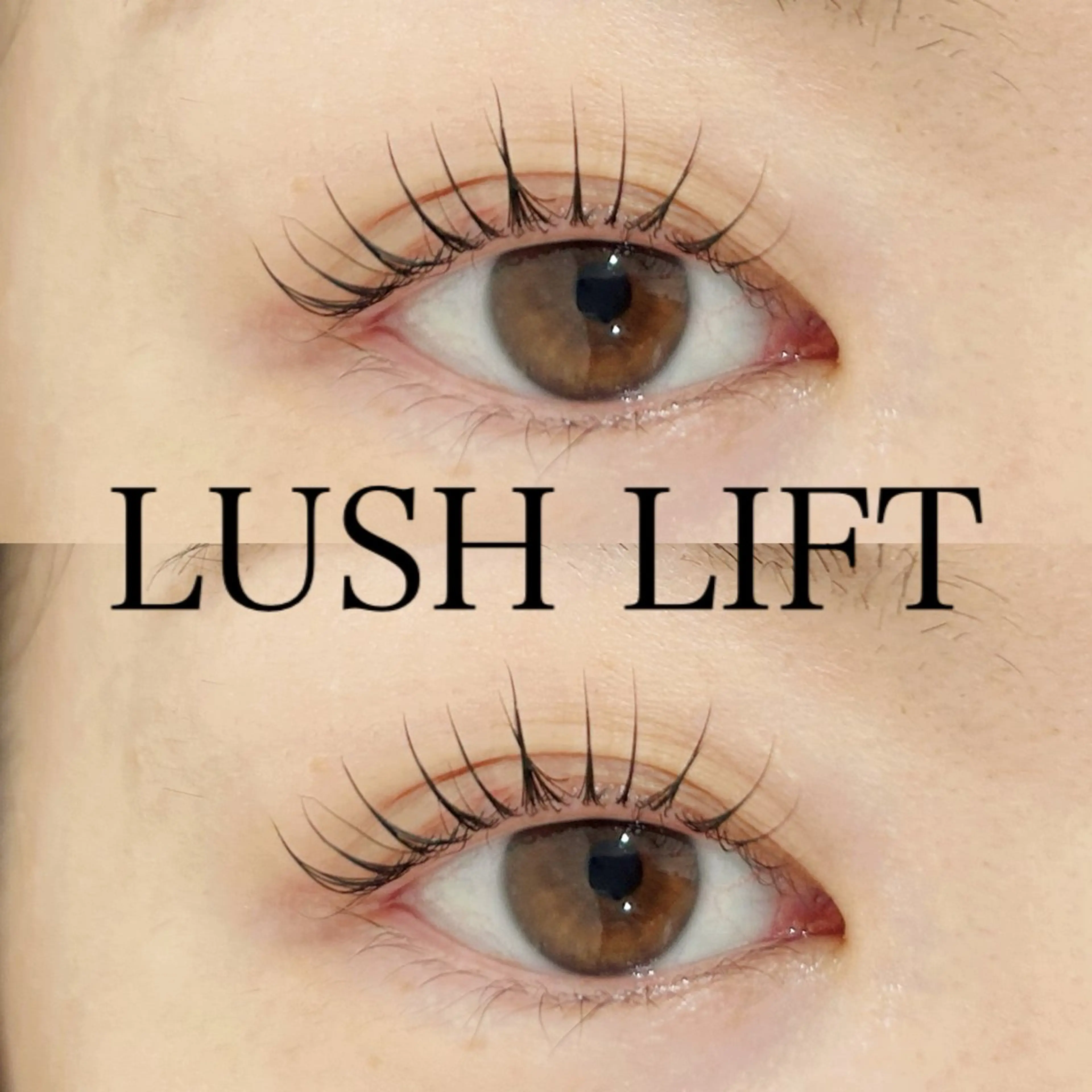 12月限定価格 パリジェンヌorまつ毛パーマ👀♡の写真