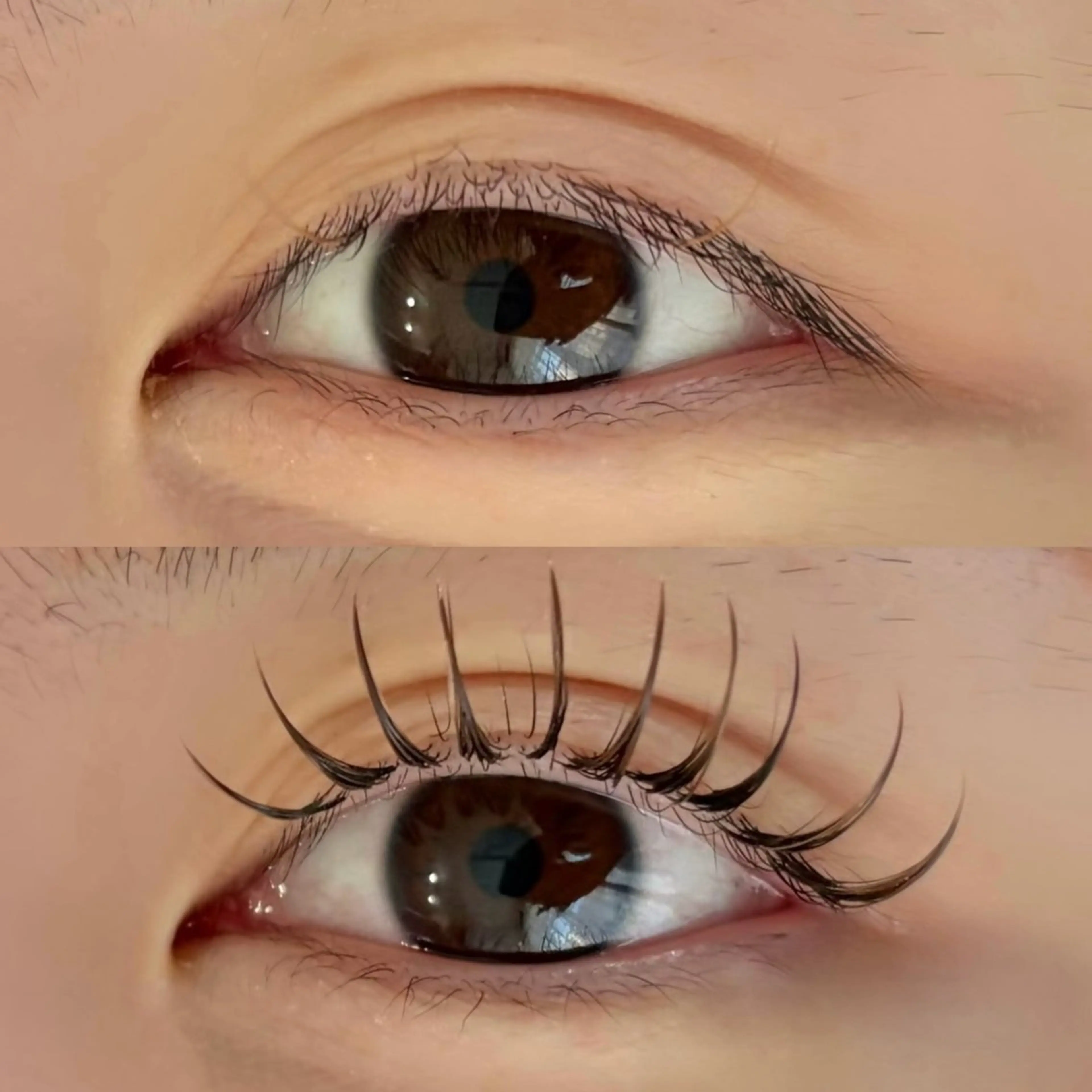 マツエク・マツパ バインドロック Dカール chaleureux 【シャルルー】のマツエク・マツパデザイン