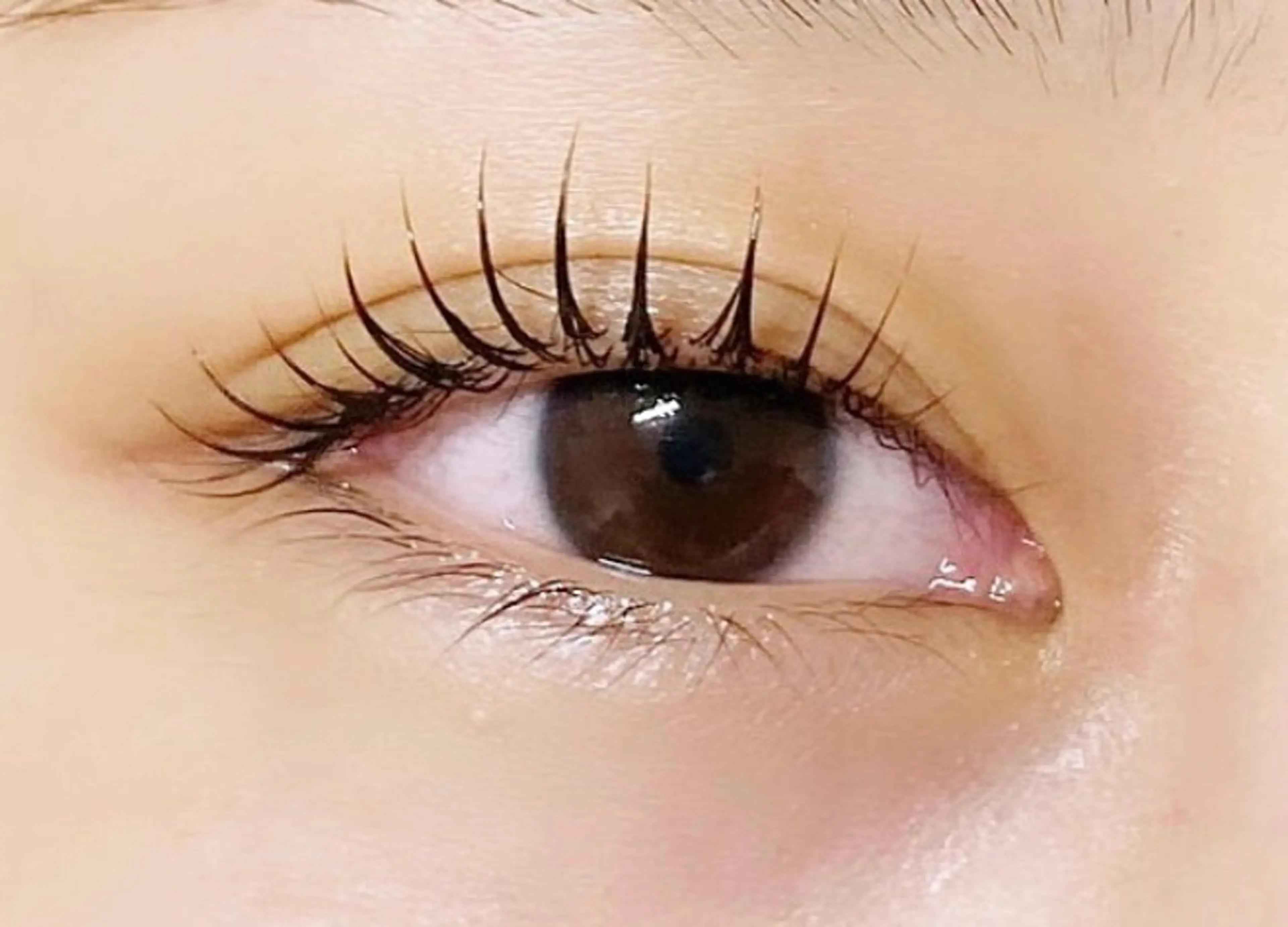 うるツヤ上まつげパーマ(アルカリ除去、ケラチントリートメント付)の写真