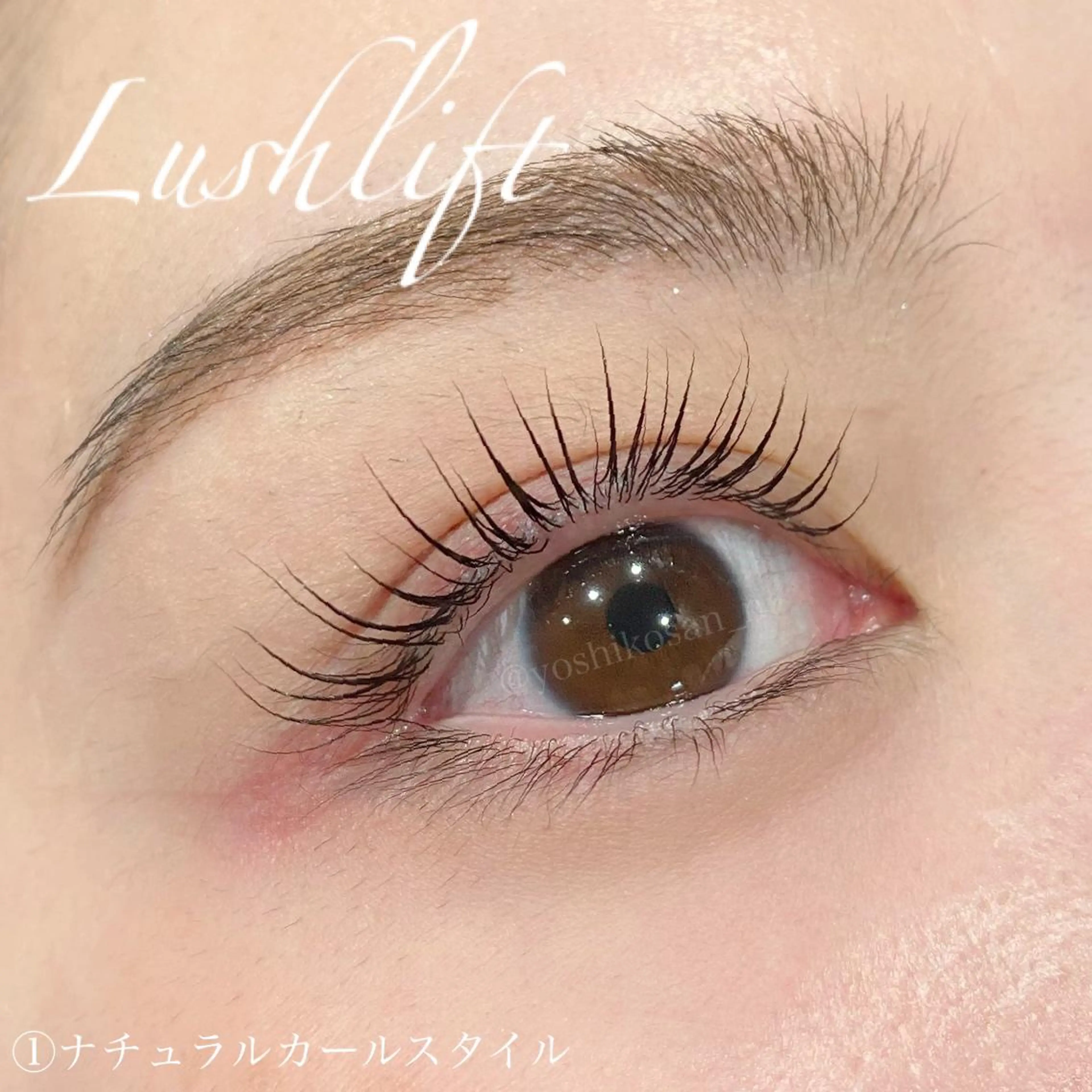 マツエク・マツパ Pixie Bob 🐈‍⬛　位田のマツエク・マツパデザイン