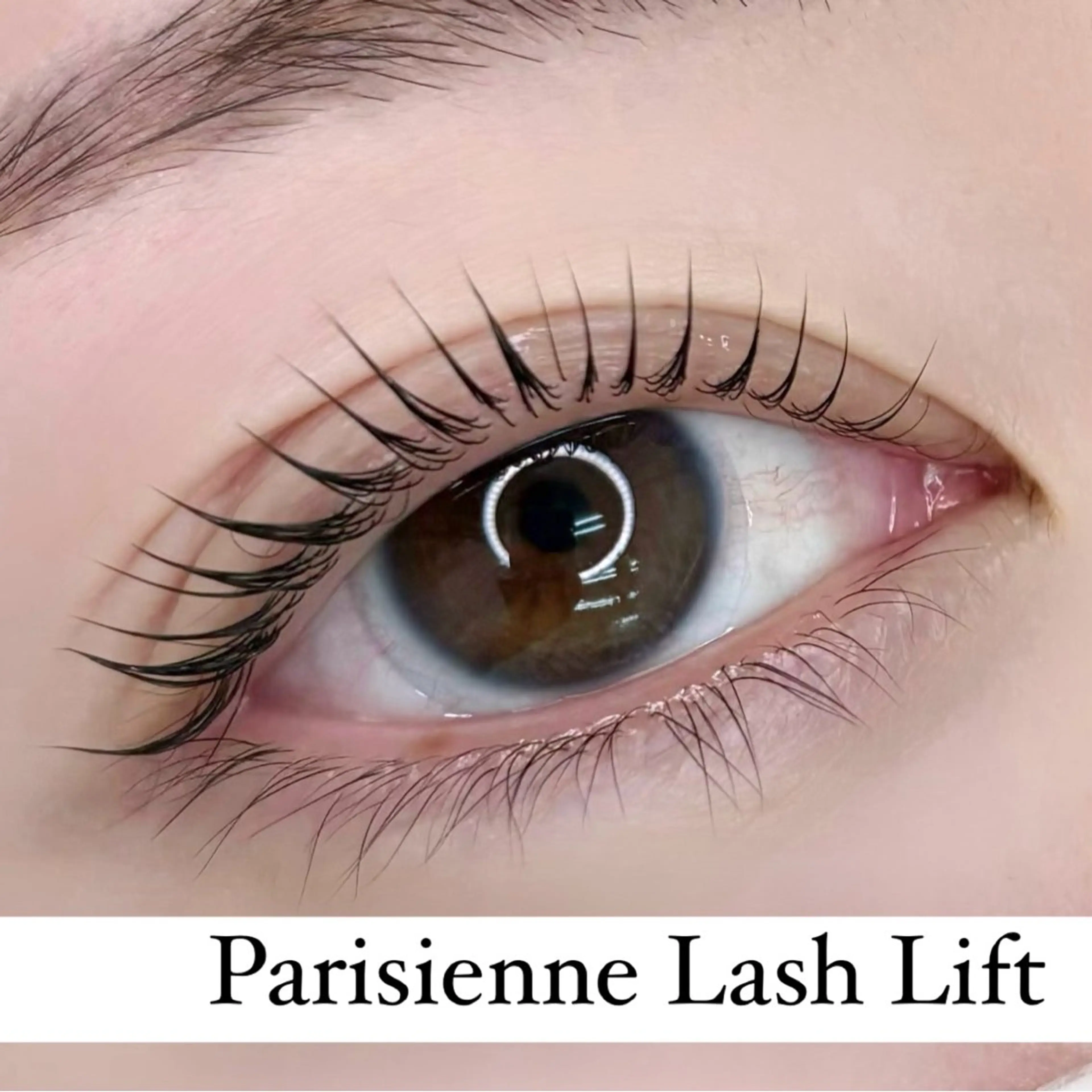 マツエク・マツパ パリジェンヌラッシュリフト まつげパーマ IVY-NUE HITOMIのマツエク・マツパデザイン