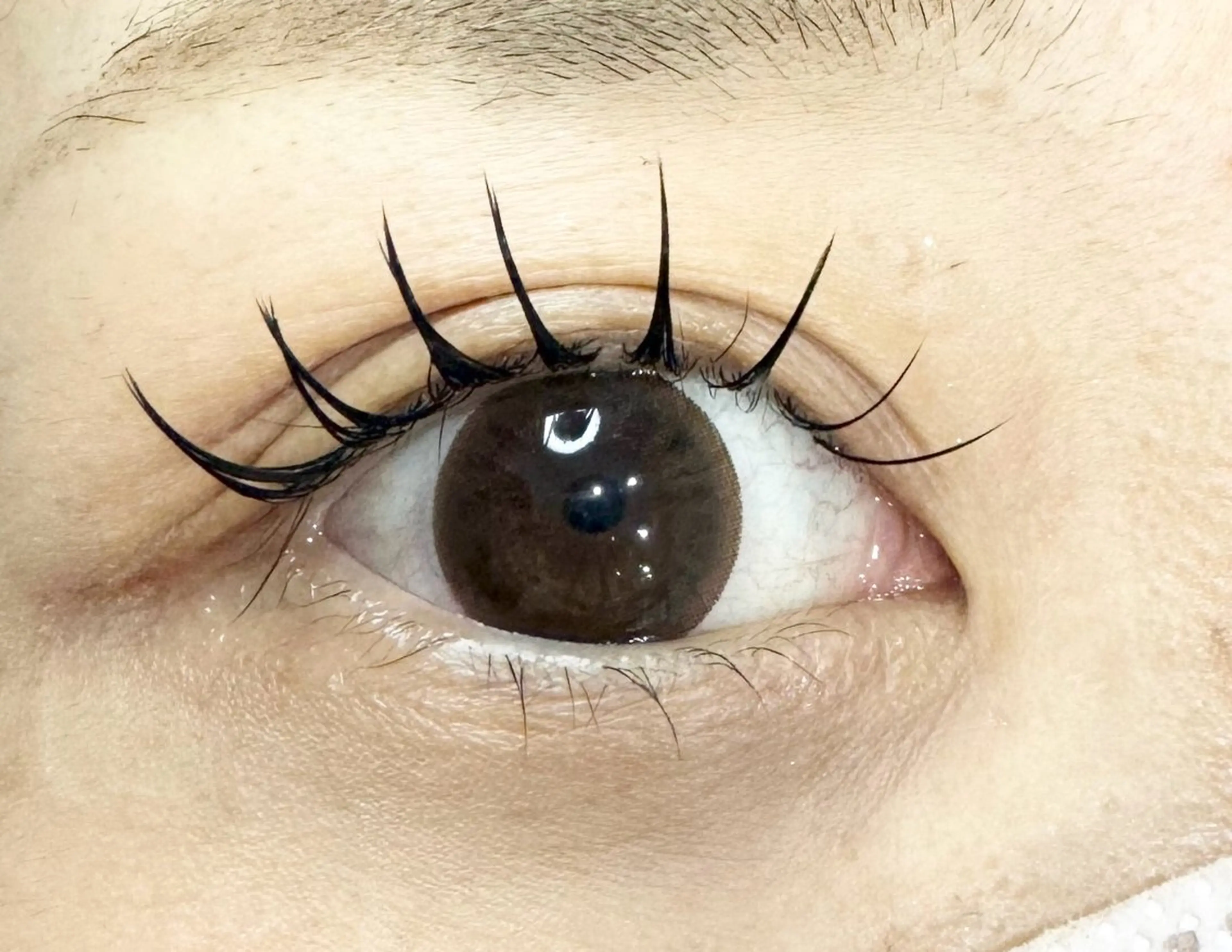 マツエク・マツパ TReiS所属・TReiS eyelashのマツエク・マツパデザイン