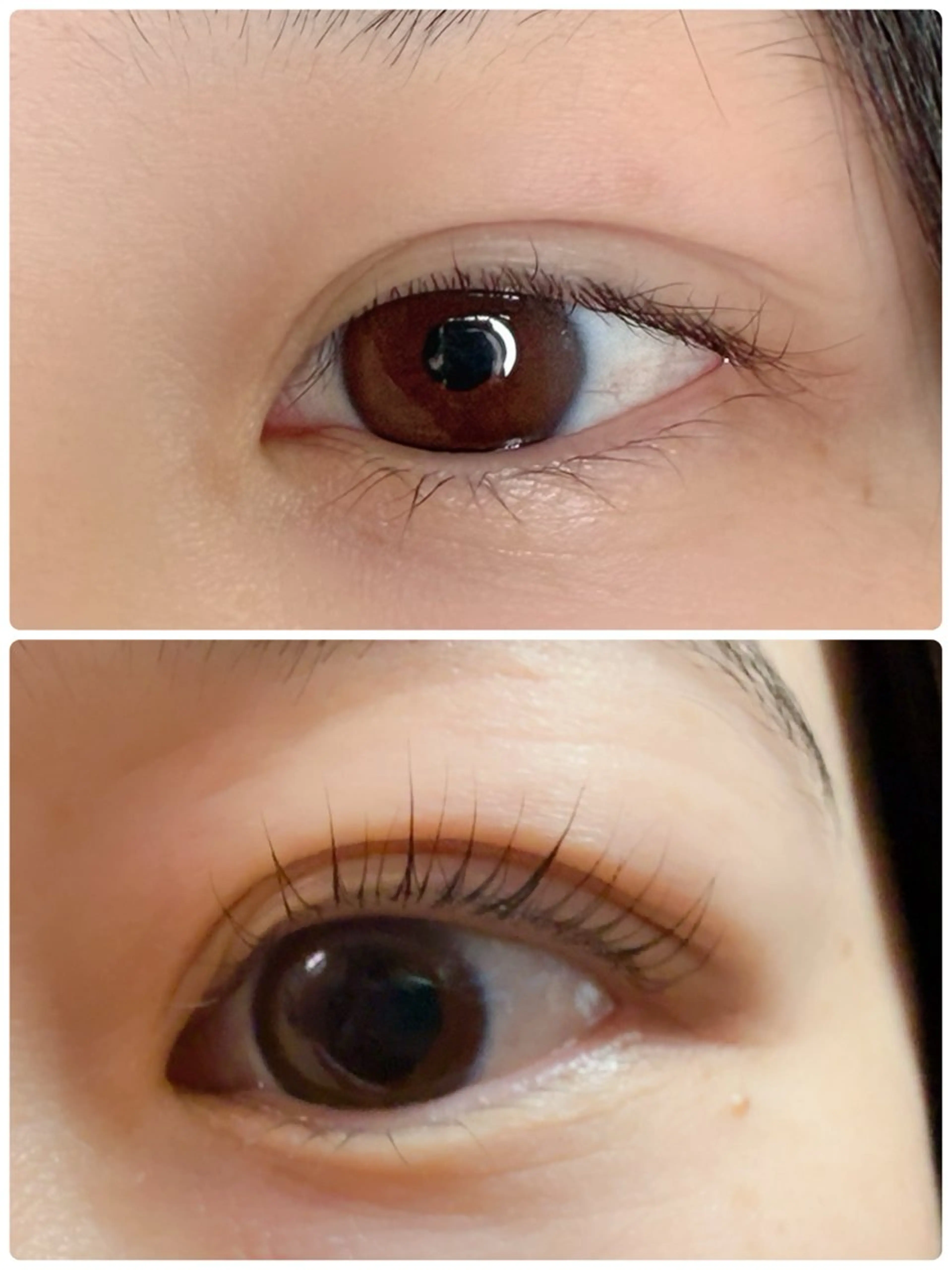 マツエク・マツパ マツパ オオヌキ ユミカのマツエク・マツパデザイン