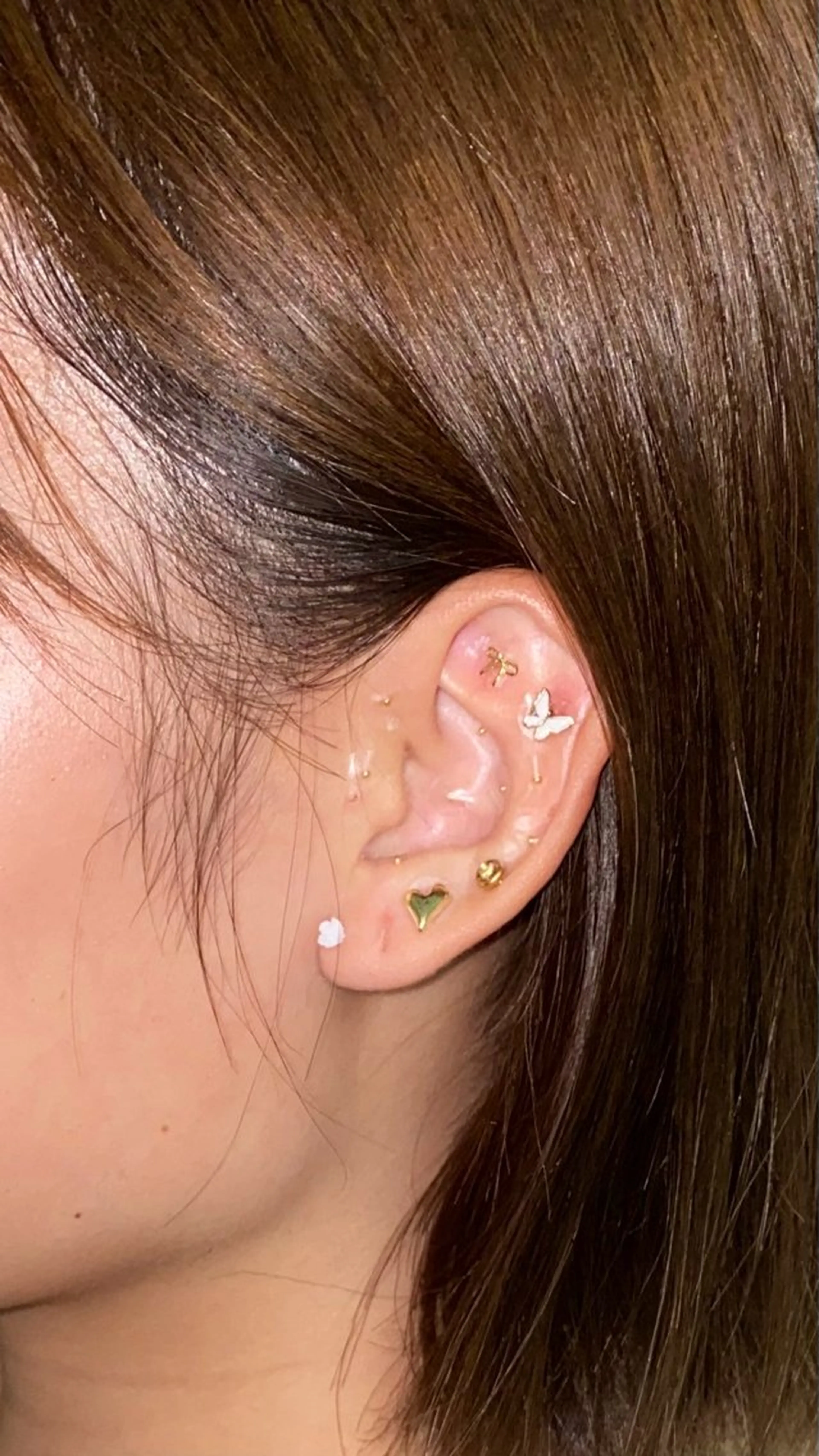 B.napus/mimi2bo所属・B.napus Nanohaのその他イメージ