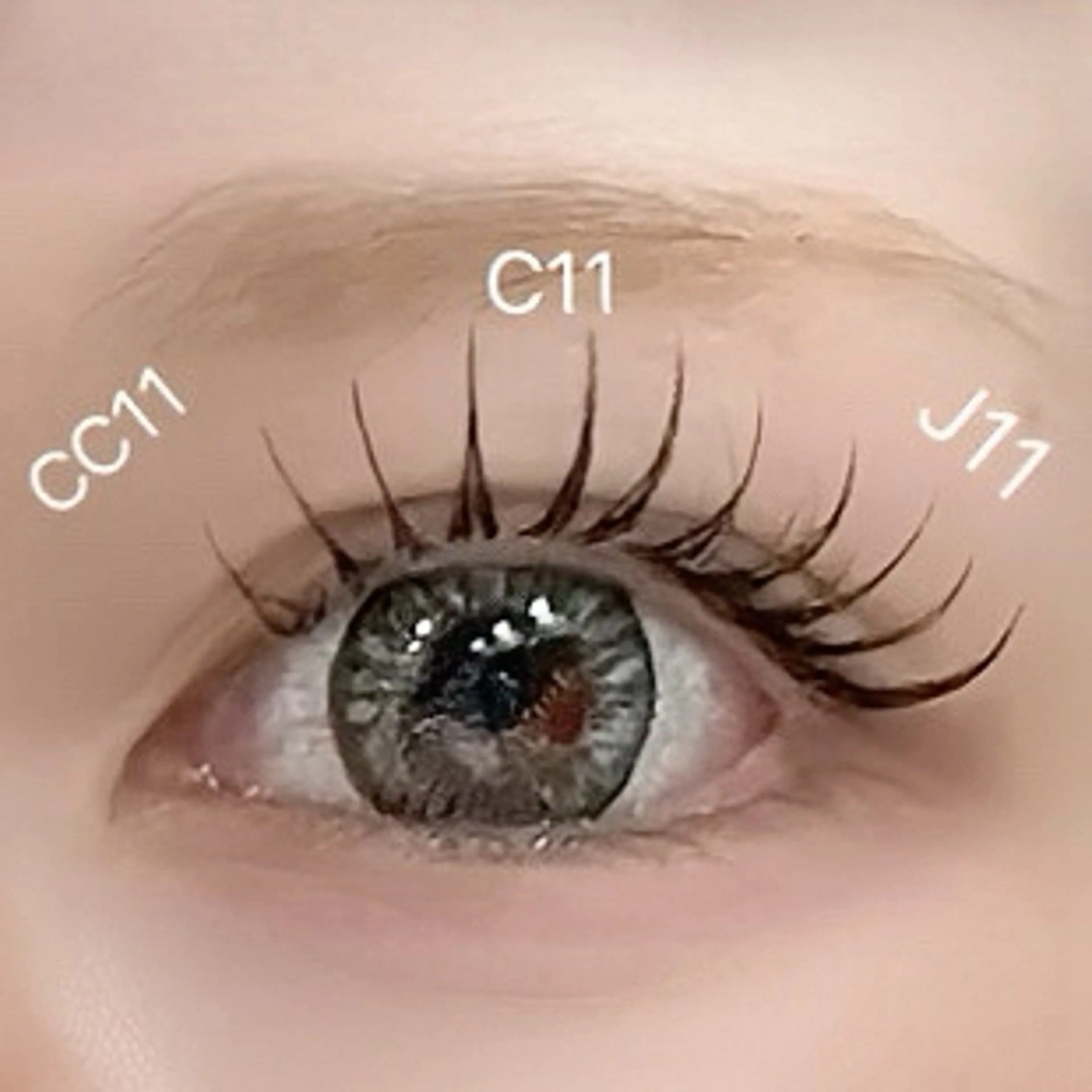 【最新技術🍓ྀི】まつ毛パーマ&フラット120本【&Healthy】¥9800の写真