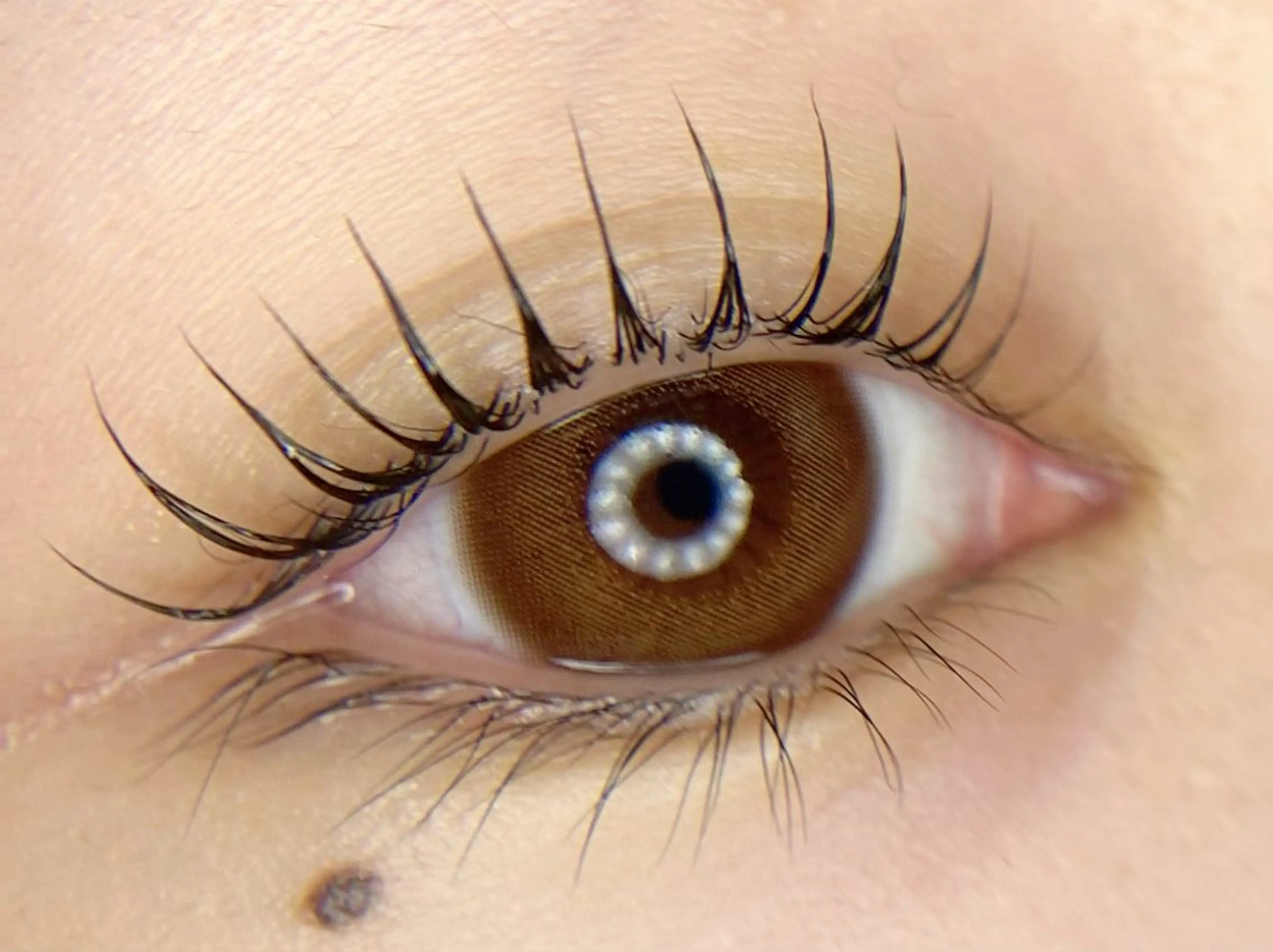 マツエク・マツパ マツパ tomte トムテのマツエク・マツパデザイン