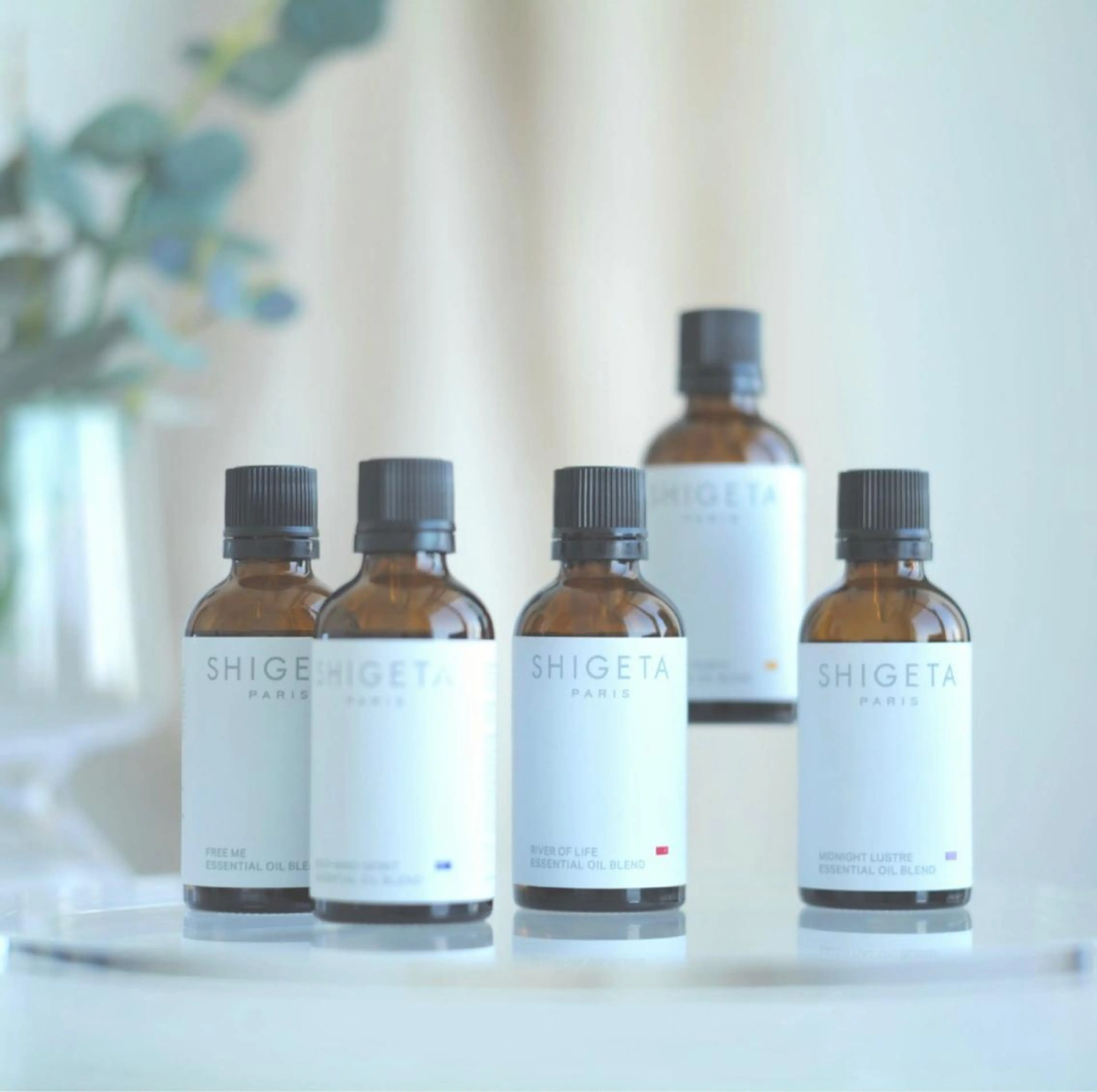 💆🏻‍♀️⌇自分へのご褒美に🦦⌇SHIGETA【30分ヘッドスパ】＋トリートメント＋ヘアセットの写真