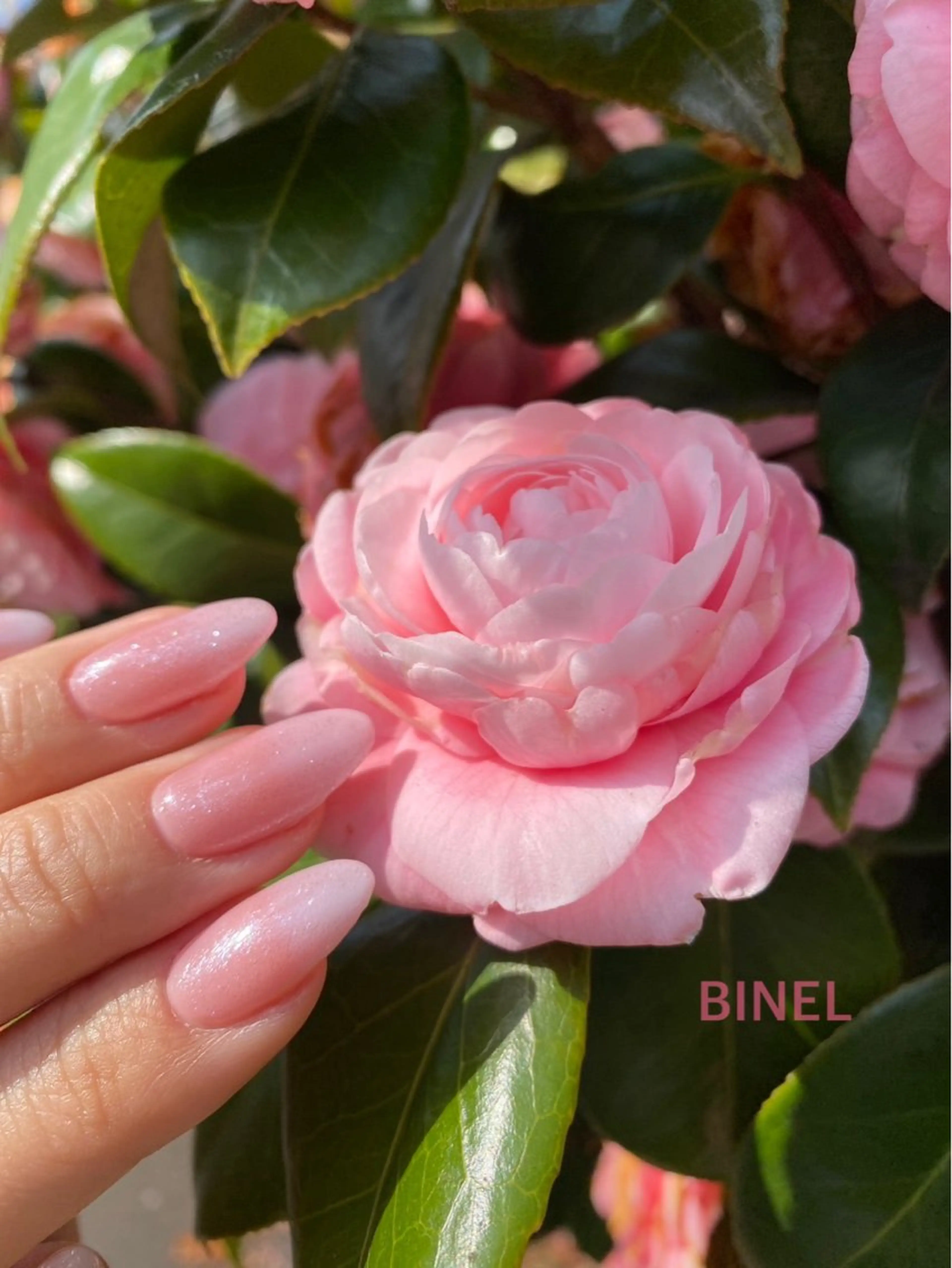 ネイル BINEL REINAのネイルデザイン