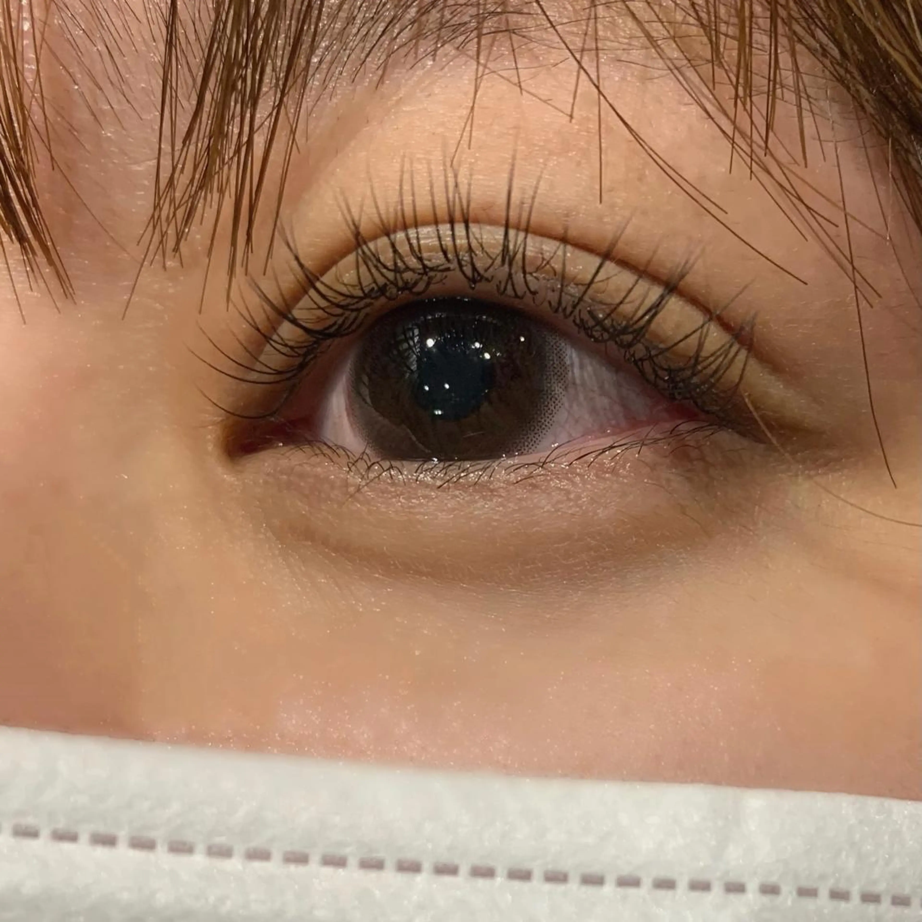 マツエク・マツパ Cカール セーブル Rose Hip所属・IDE .Rose Hipのマツエク・マツパデザイン