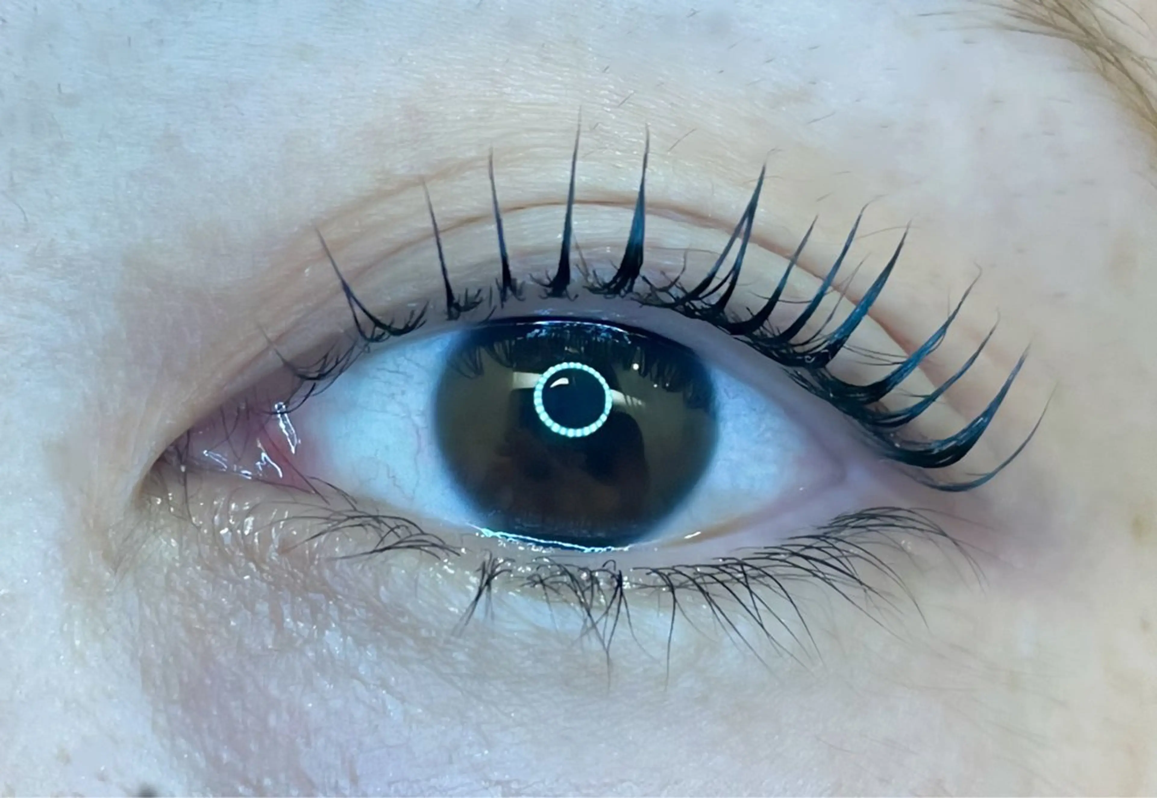 マツエク・マツパ No.3 前橋店所属・ひなの 🌼のマツエク・マツパデザイン