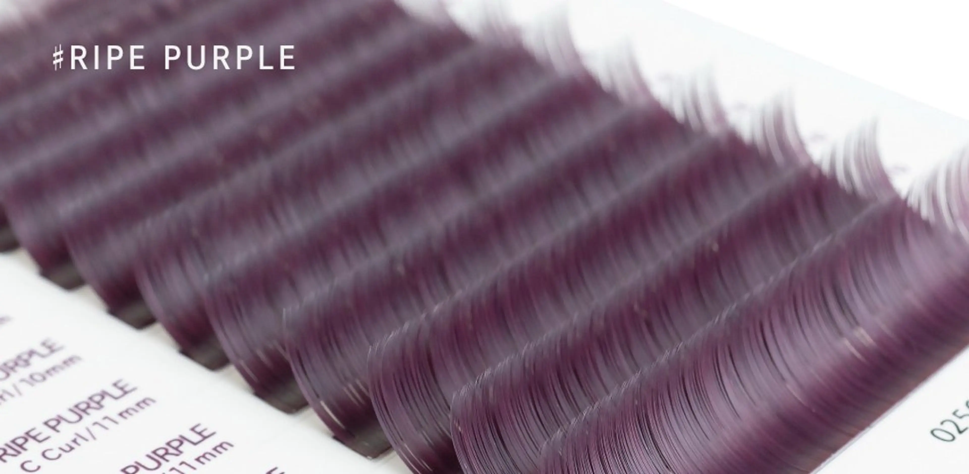 マツエク・マツパ Girasol所属・Girasol ヒラソルのマツエク・マツパデザイン