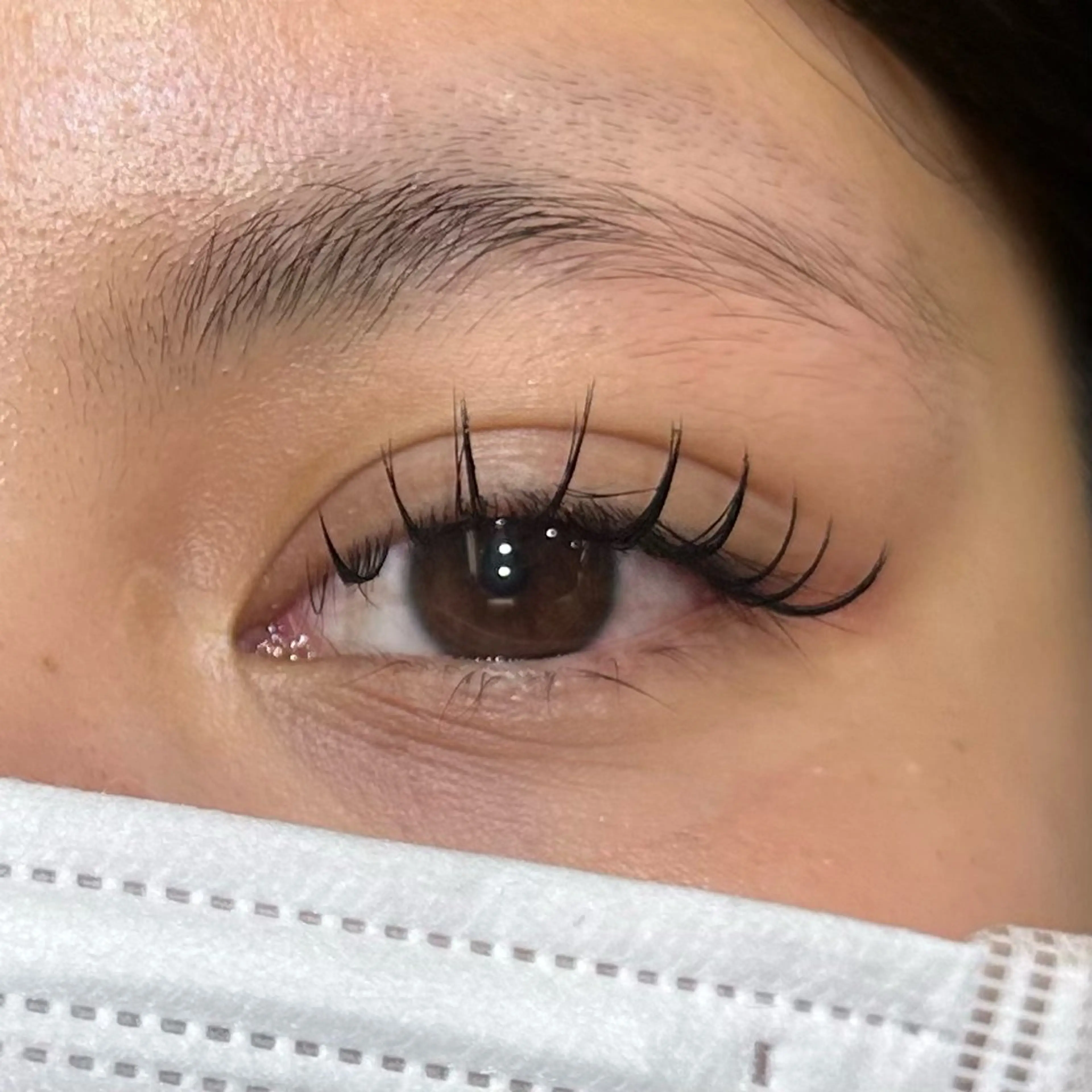 マツエク・マツパ Dカール Dollylash 福城のマツエク・マツパデザイン