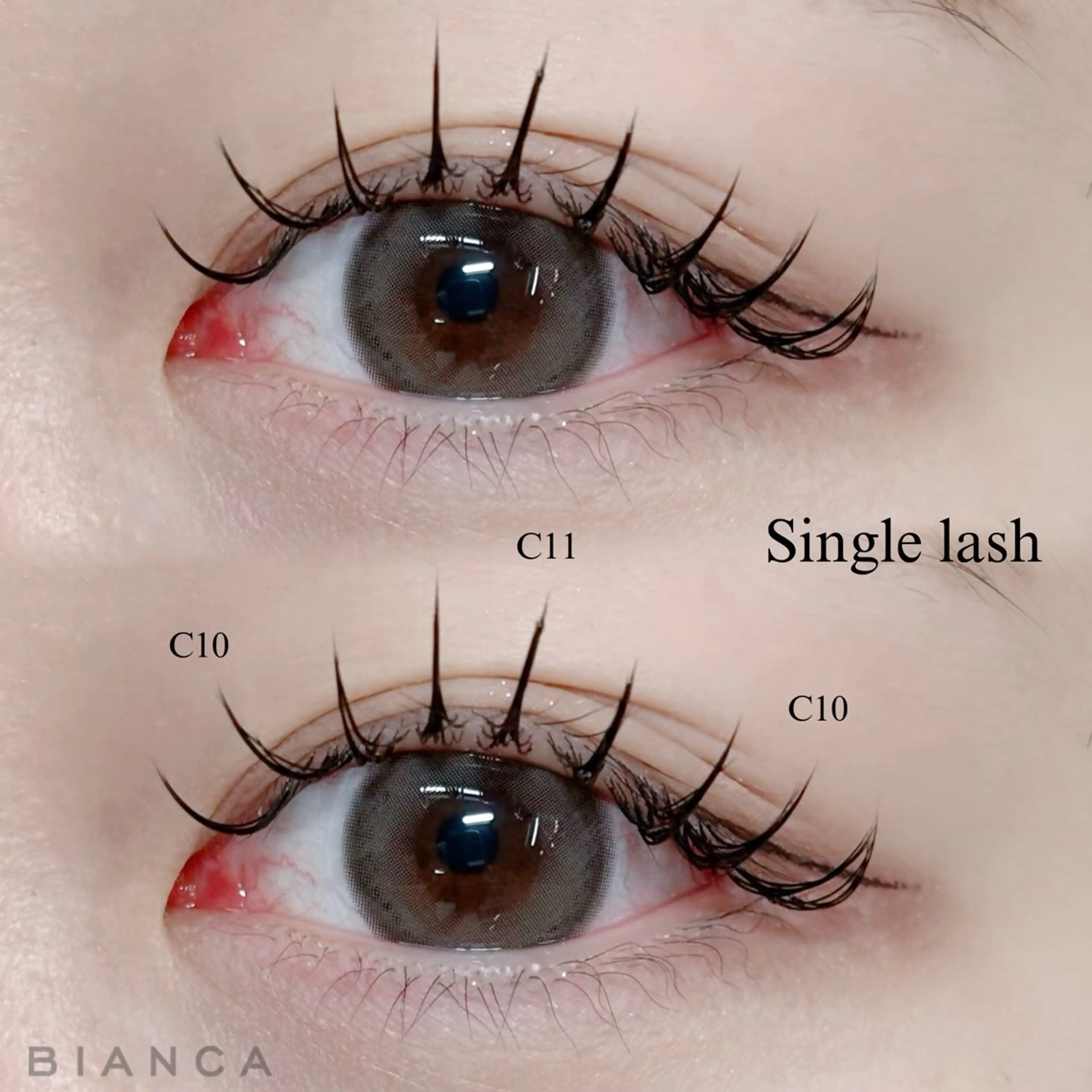 【1月限定】🌻シングルラッシュ 120本🌻 ※オフ無の写真