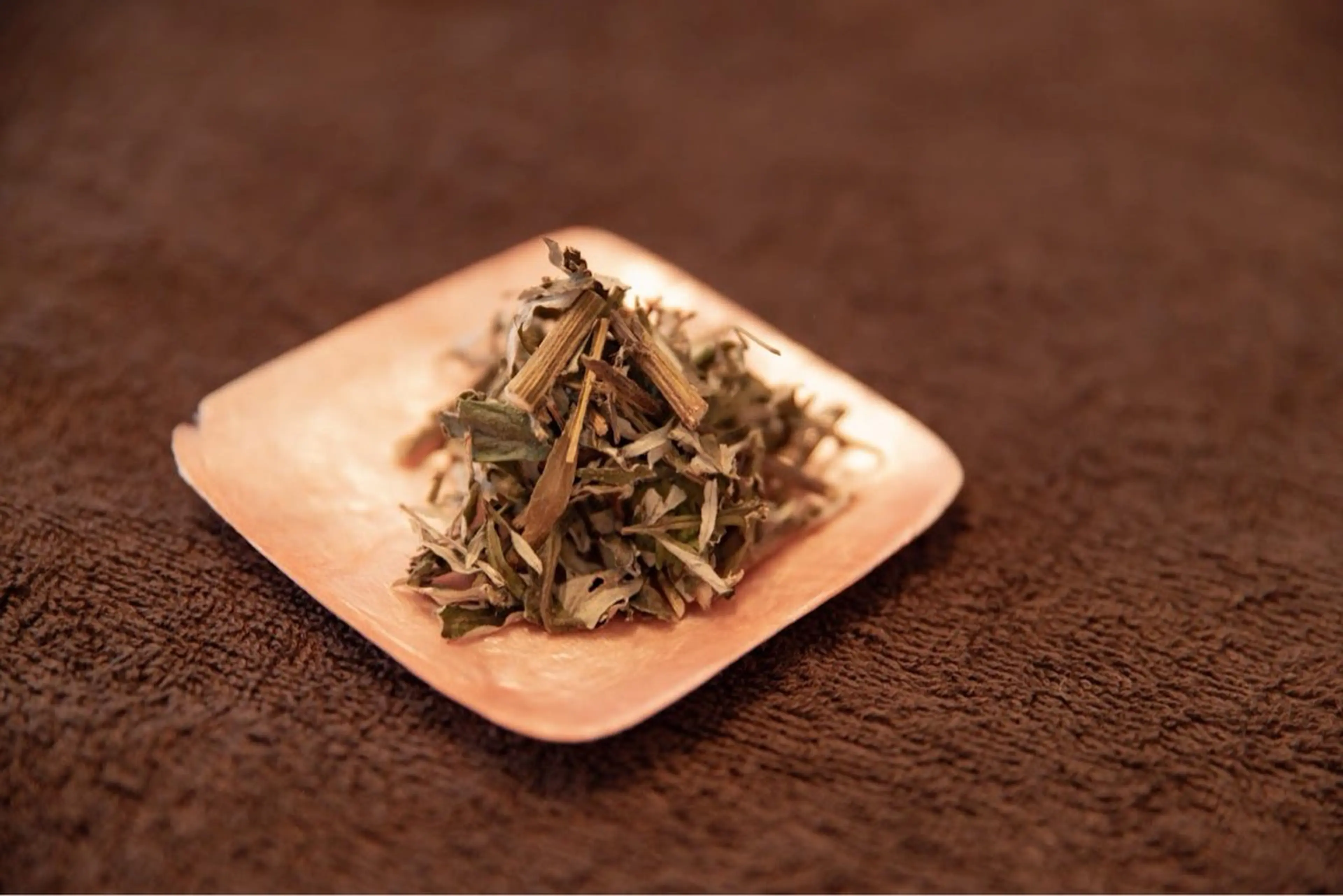 よもぎ蒸しの写真