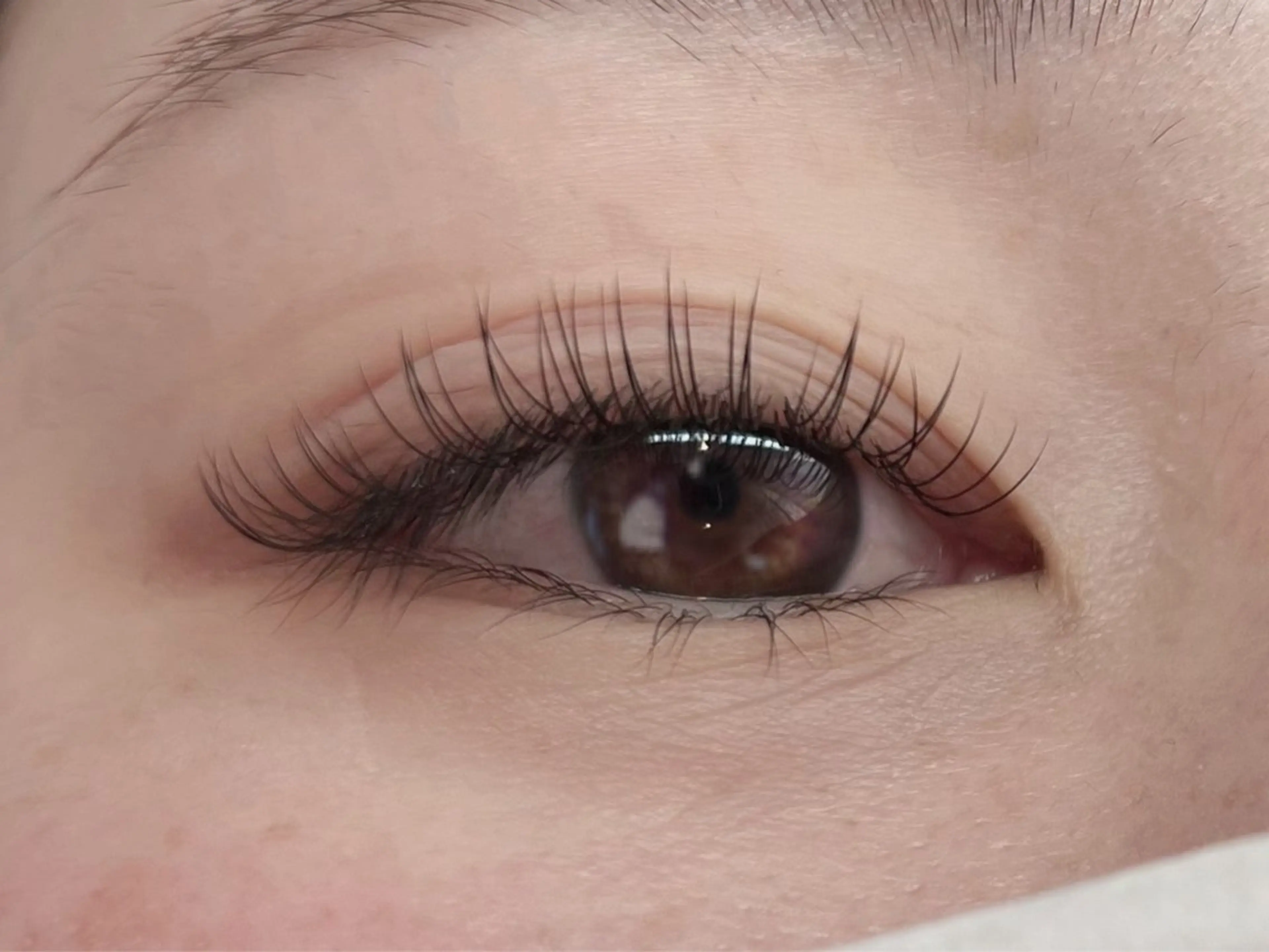 フラットマットラッシュ✨上下セット【上100本＋下40本まで】¥7,500【オフ別途】の写真