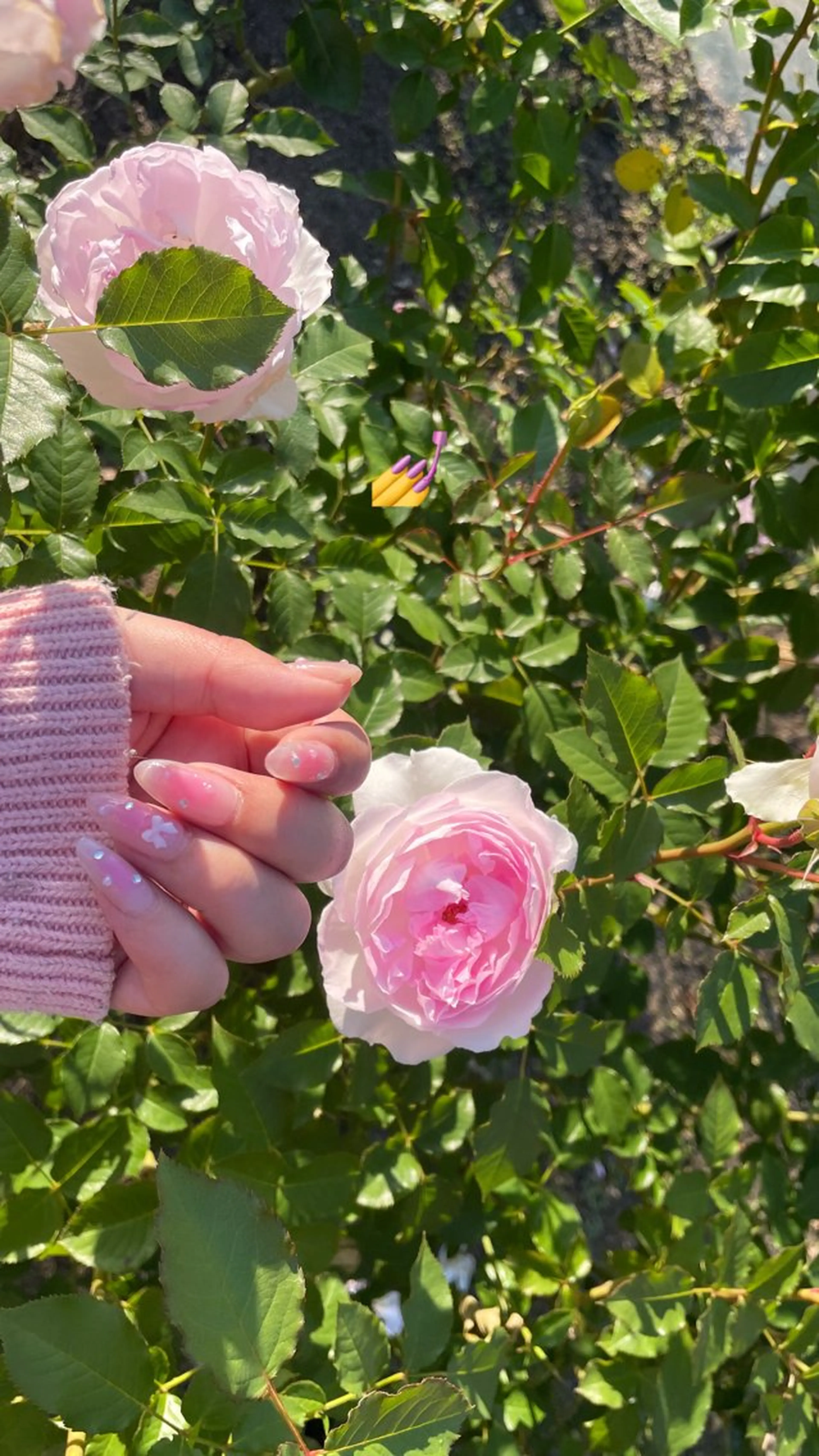 ネイル ハンドネイル AYA Reginaのネイルデザイン