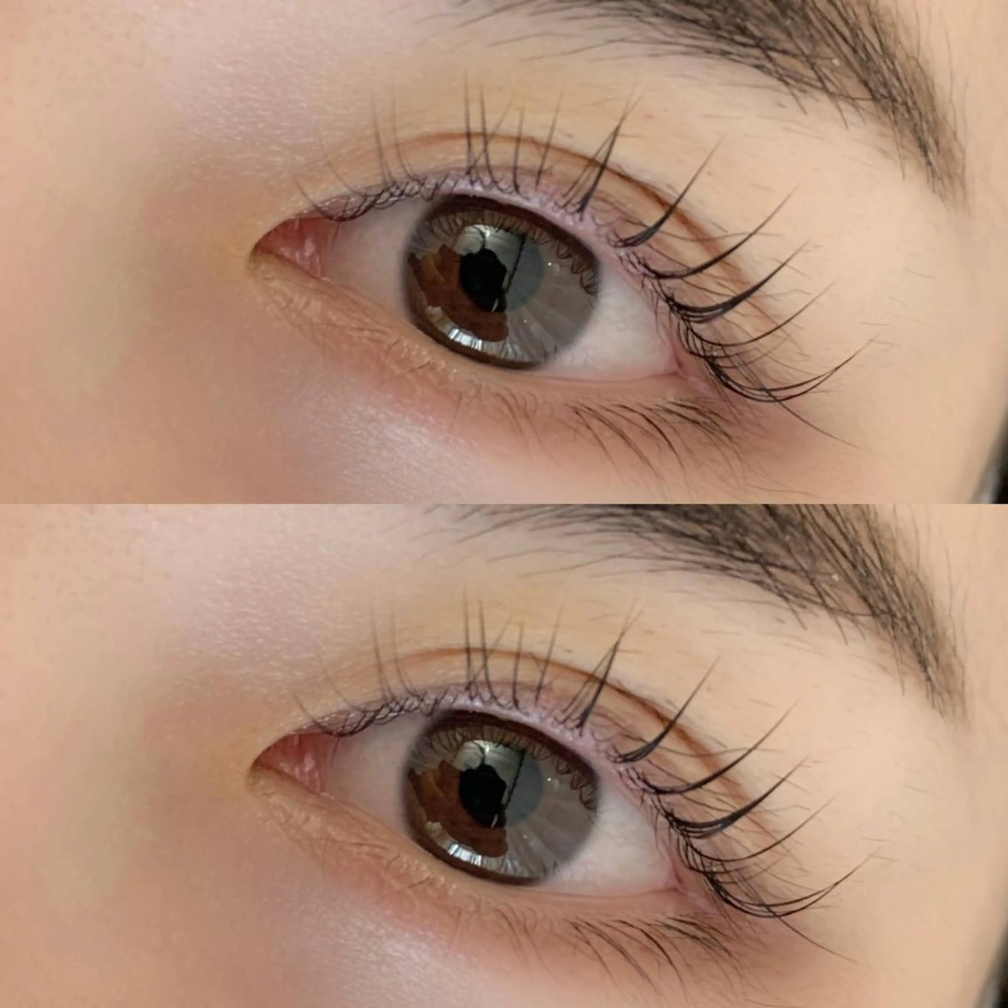 ご新規様限定⭐️まつげパーマ¥4200の写真