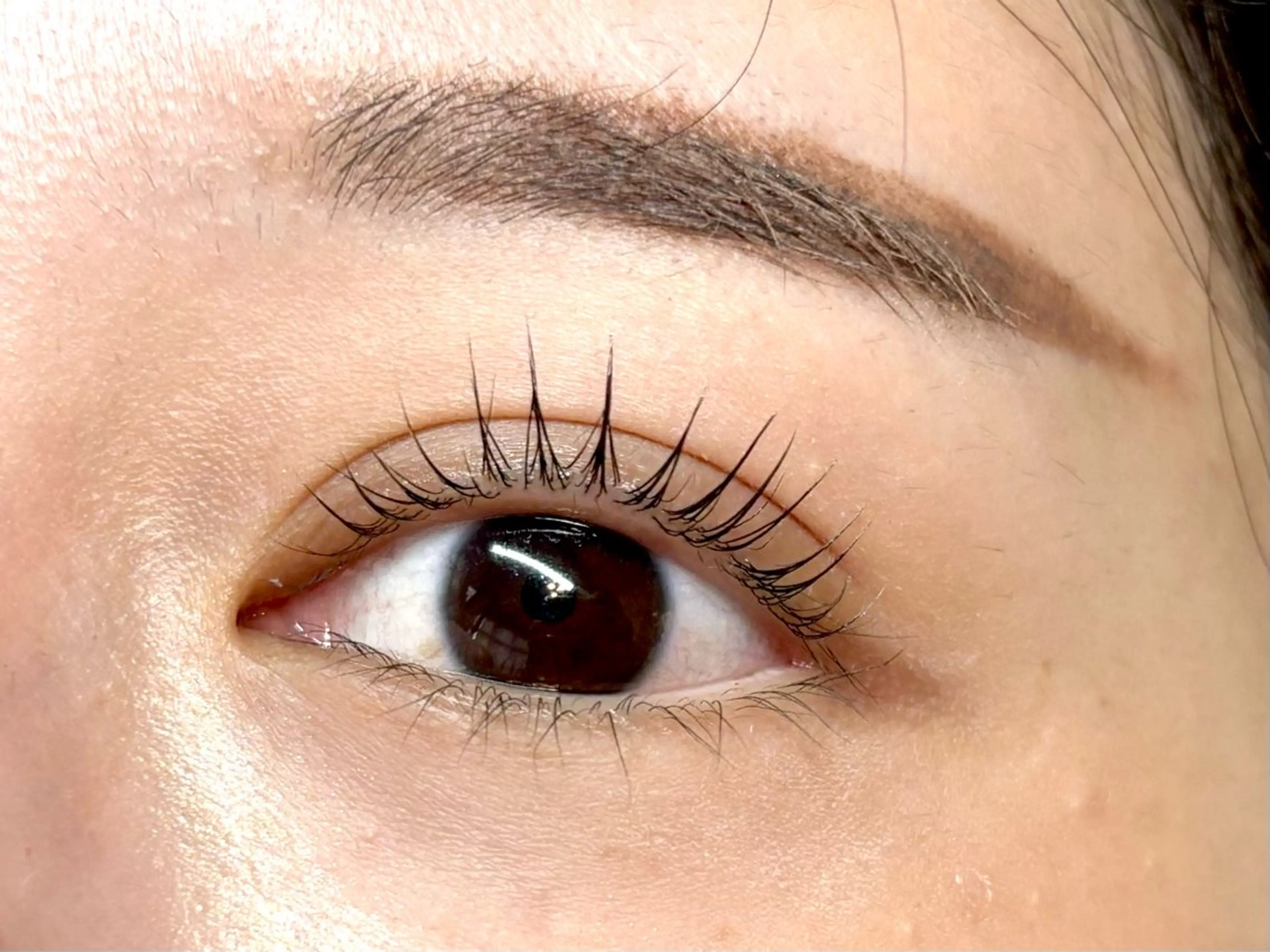 マツエク・マツパ 一重×まつ毛パーマ マツパ ORTENSIA 六本松のマツエク・マツパデザイン