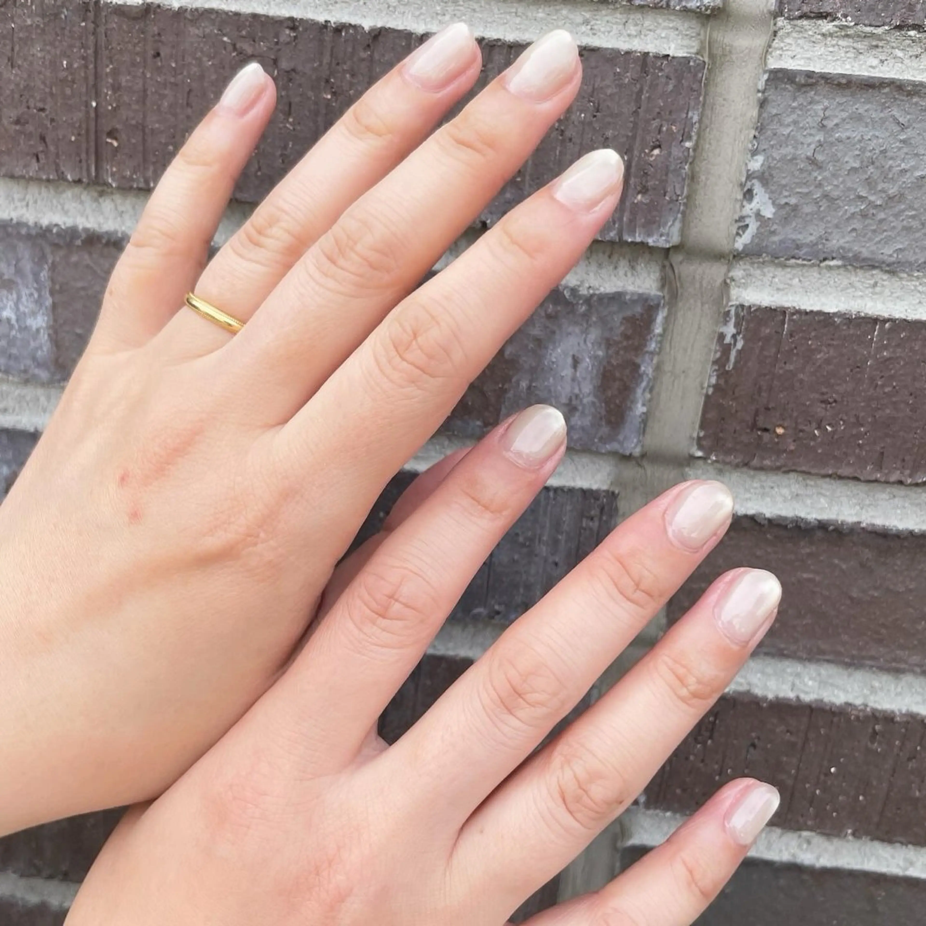 【ハンド】《オフあり》ワンカラー,マグネット,フラッシュ,クリアの写真