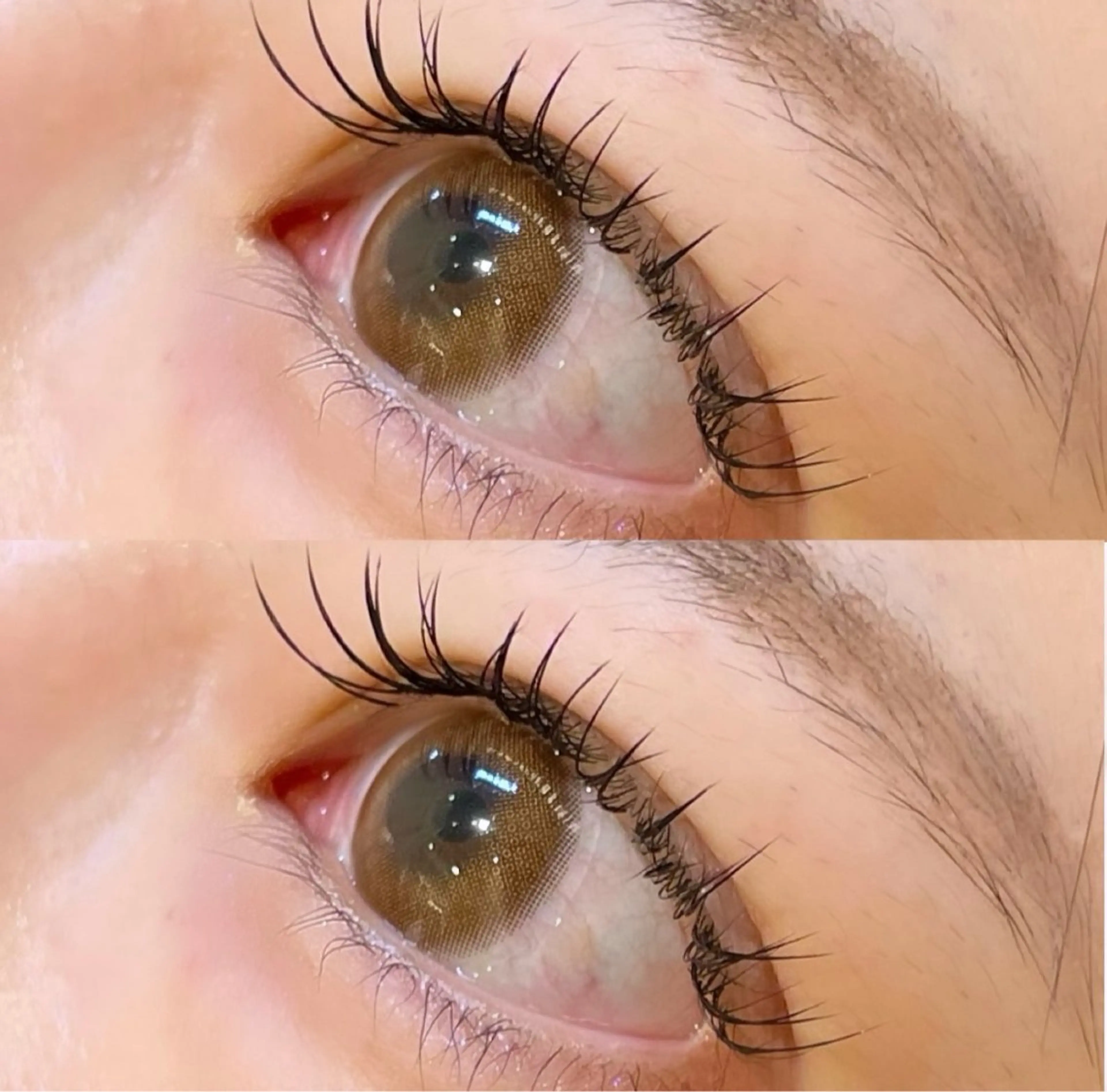 マツエク・マツパ ナチュラル まつげパーマ セーブル Cils by une fleur所属・unefleur 𝑺𝑯𝑰𝑶💕のマツエク・マツパデザイン