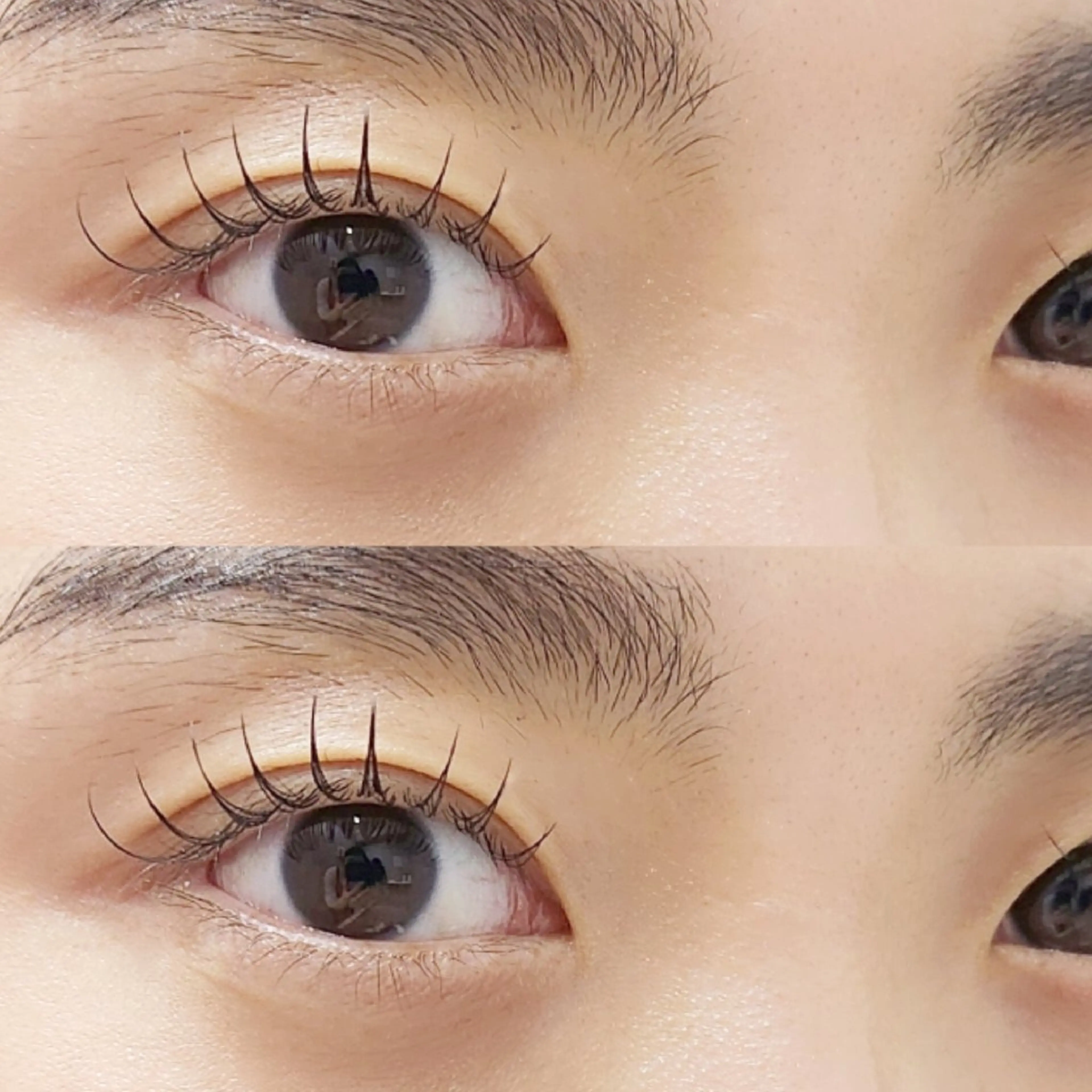 マツエク・マツパ Dカール フラットラッシュ まつげパーマ マツエク eyelist 🌙ゆうのマツエク・マツパデザイン