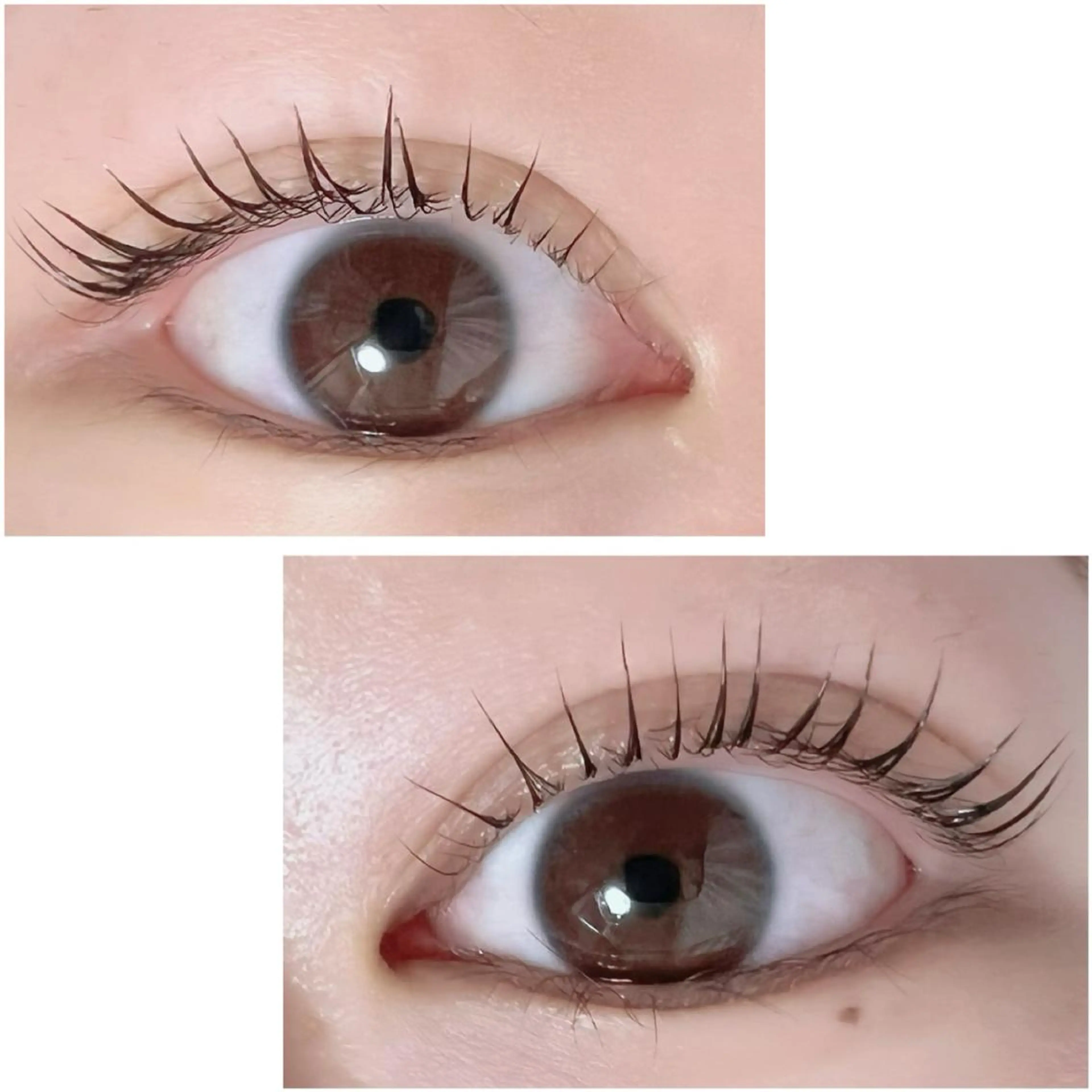 マツエク・マツパ Adorer(アドレ)所属・Adorer 🍀アドレ🍀のマツエク・マツパデザイン