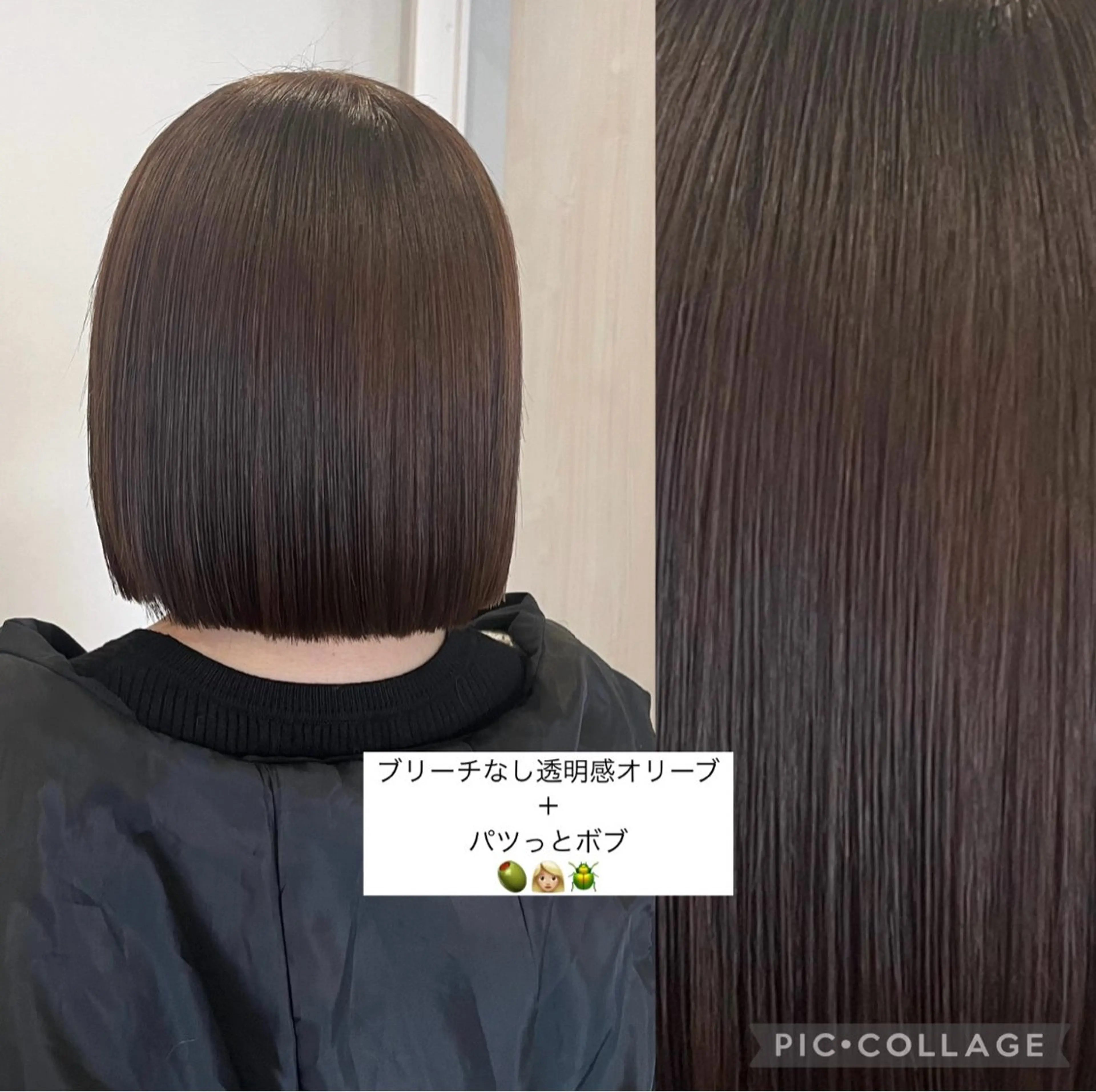 【新規様】ワンカラー🥣🐾＋カット✂️【ショート ・ ボブ】《minimo限定価格‼️》の写真