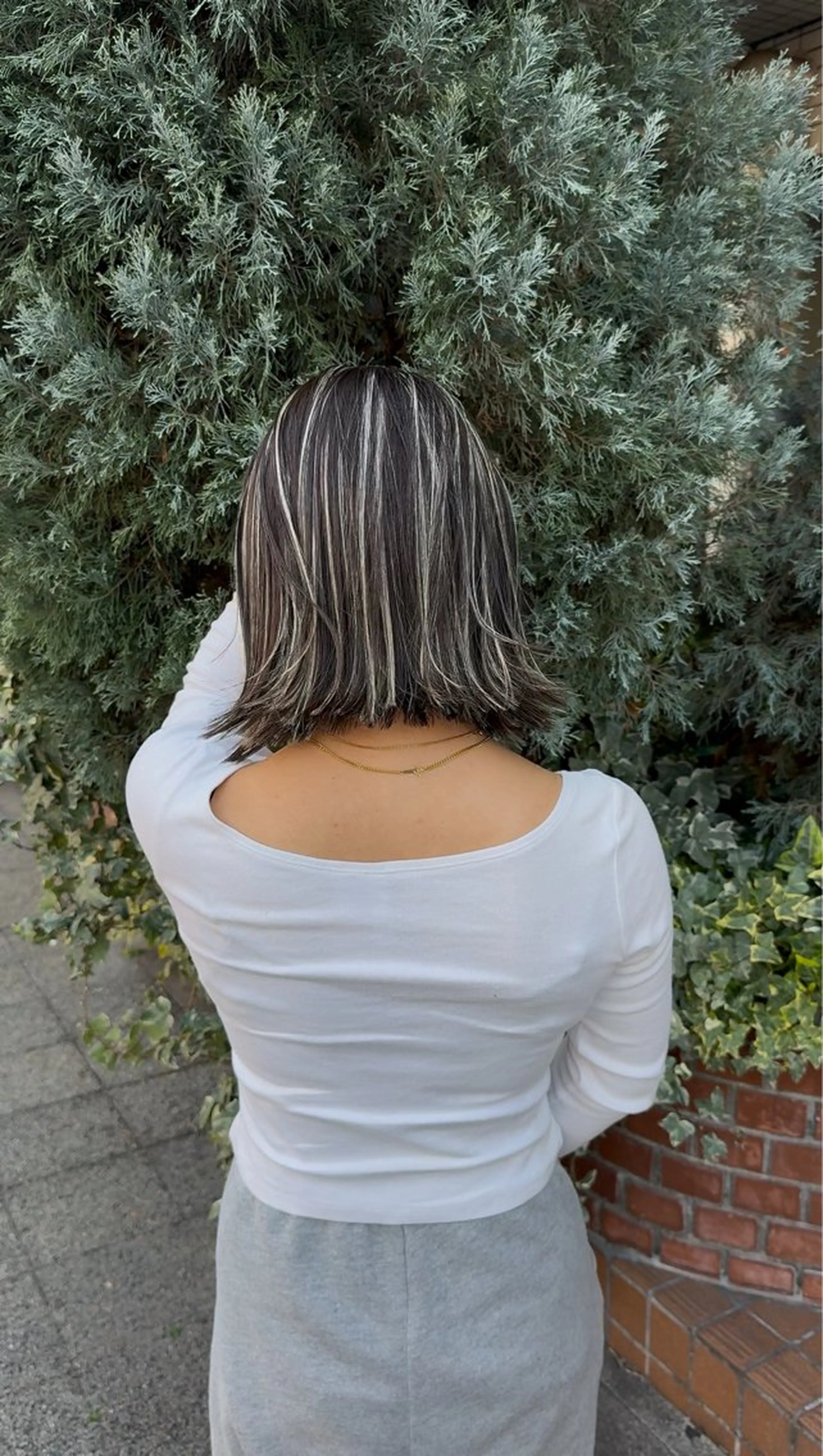 ショート ボブ ハイライト ヘアカラー トリートメント Cure2所属・🌈白いハイライト 🌈 🐶ノザワ🐶のヘアスタイル