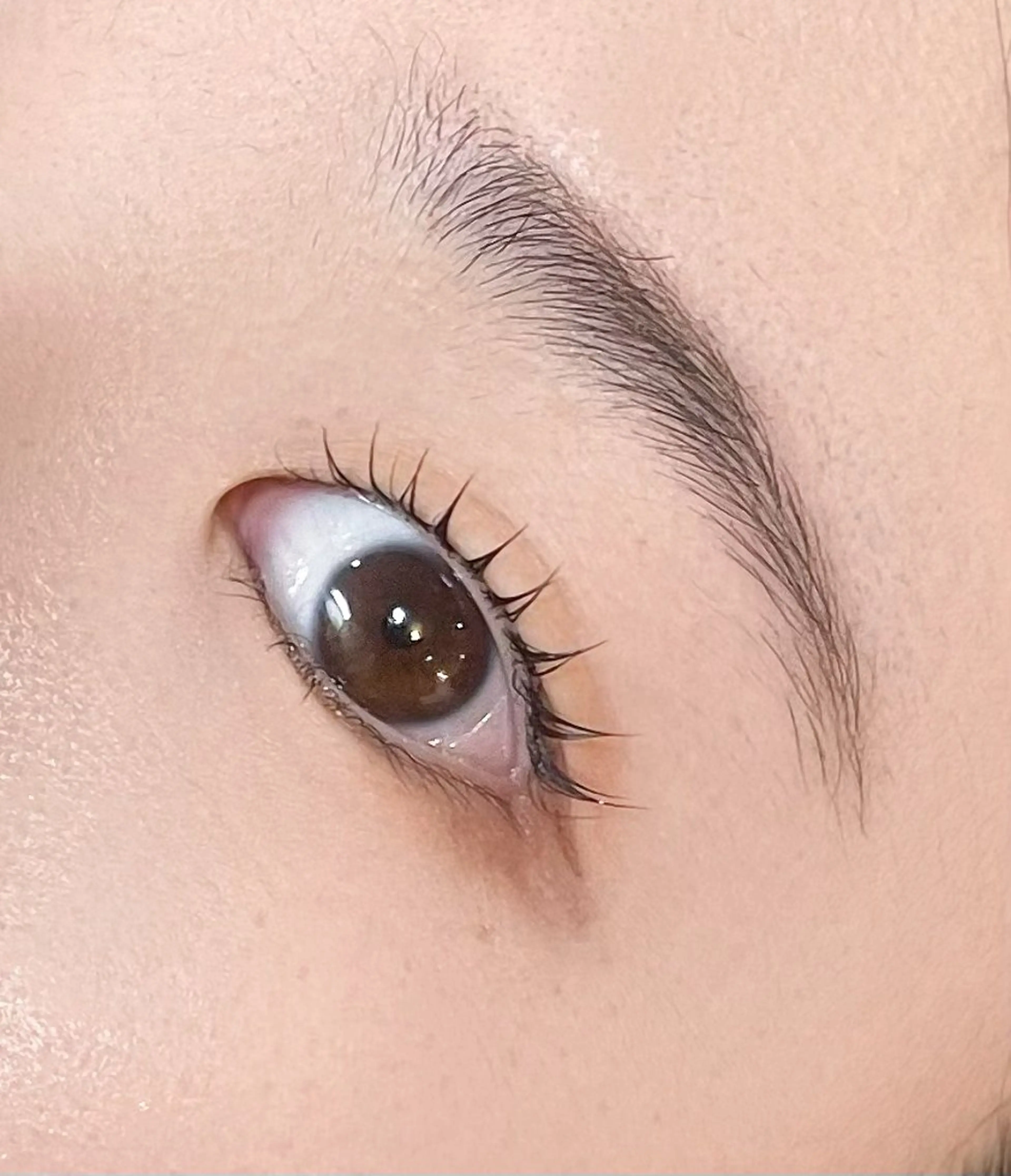 マツエク・マツパ EYELA(アイラ)柏店所属・👑EYELA 柏／ 川村👑のマツエク・マツパデザイン