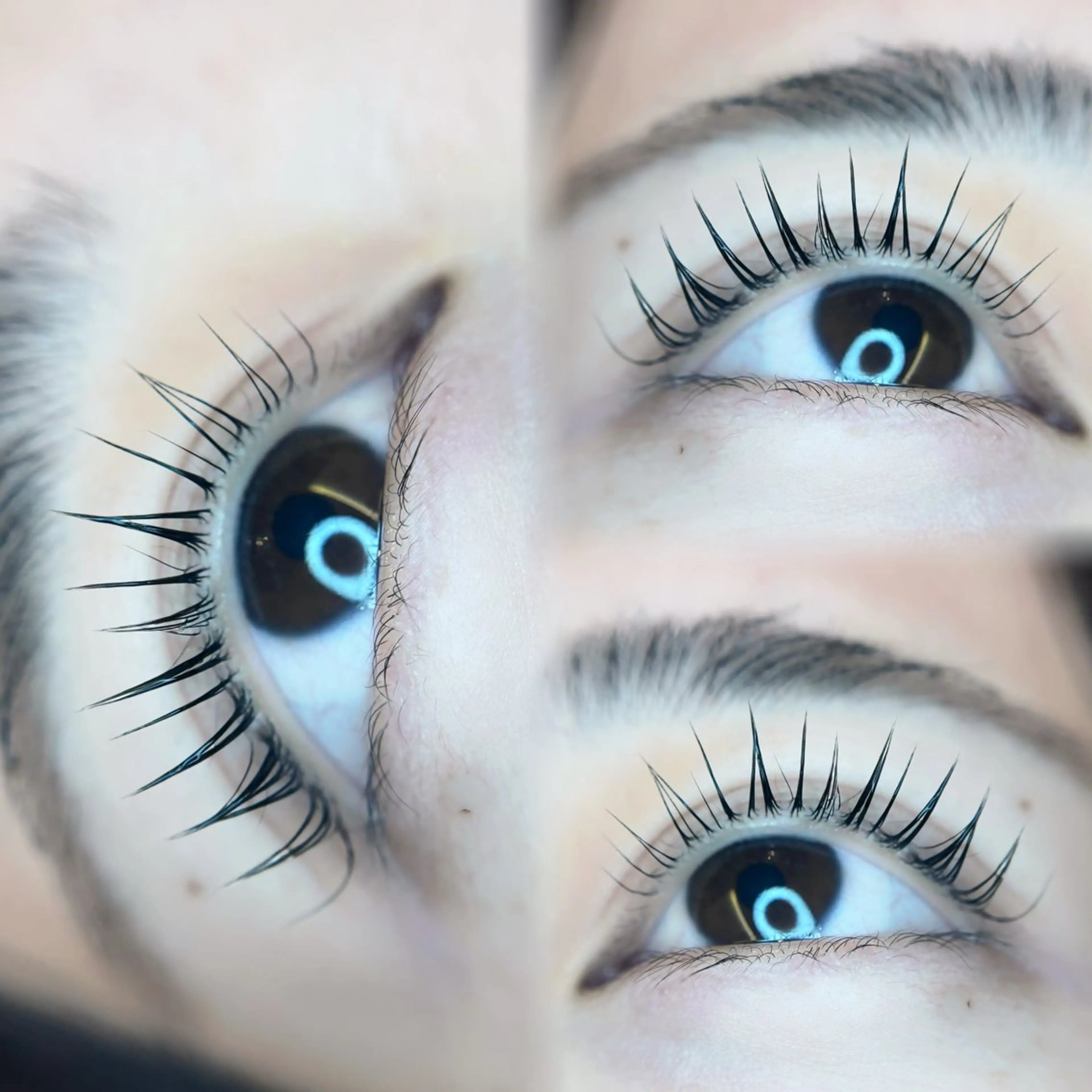 人気急上昇☆【パリエク】🌟パリジェンヌ➕フラットラッシュ80~100本🌟オフ込み《束感コーティング付き》の写真