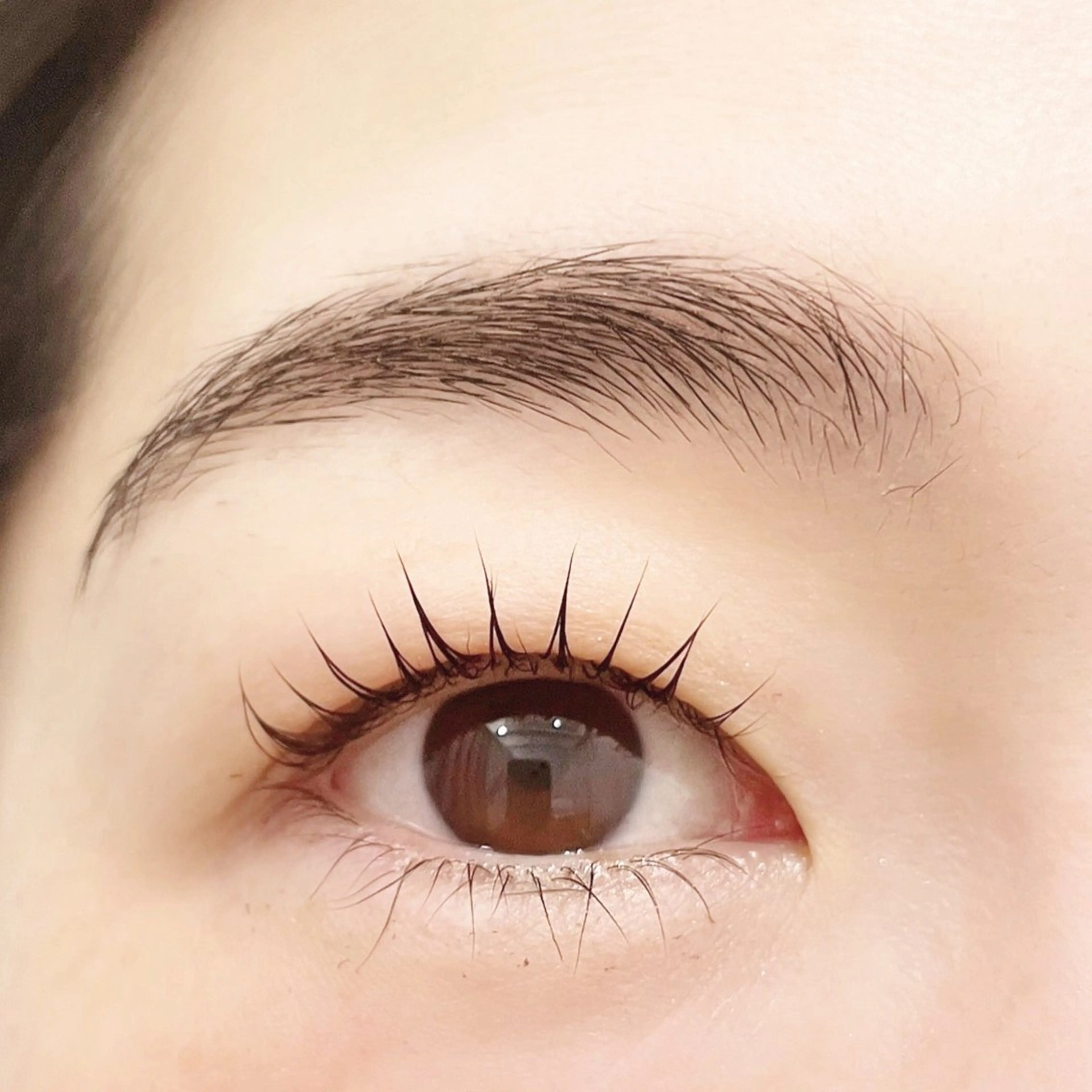 マツエク・マツパ パリジェンヌラッシュリフト 一重×まつ毛パーマ Holly  Bio(ホーリービオ)所属・Holly  Bio KIKOの眉毛・アイブロウイメージ