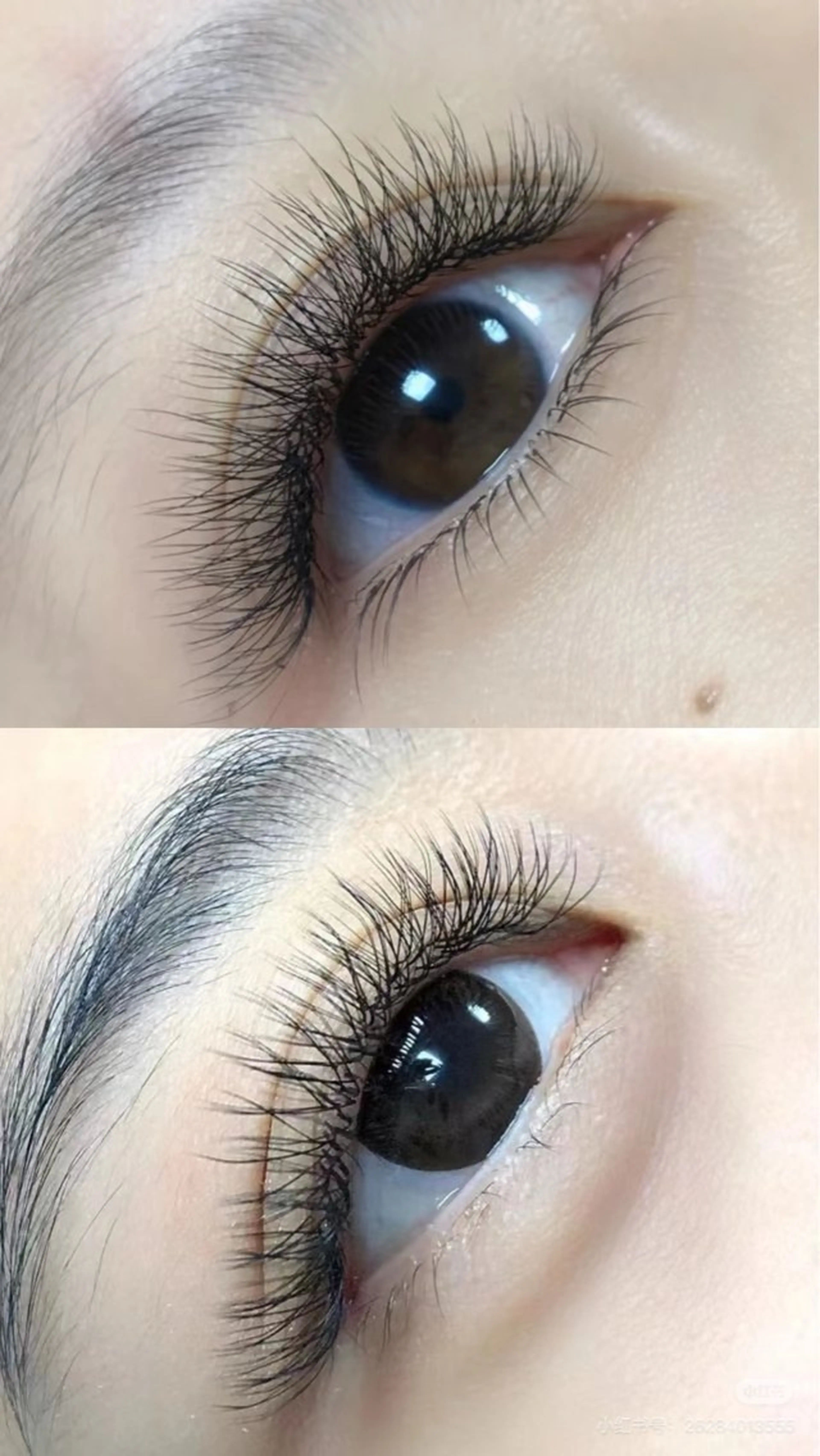 マツエク・マツパ 早 川のマツエク・マツパデザイン