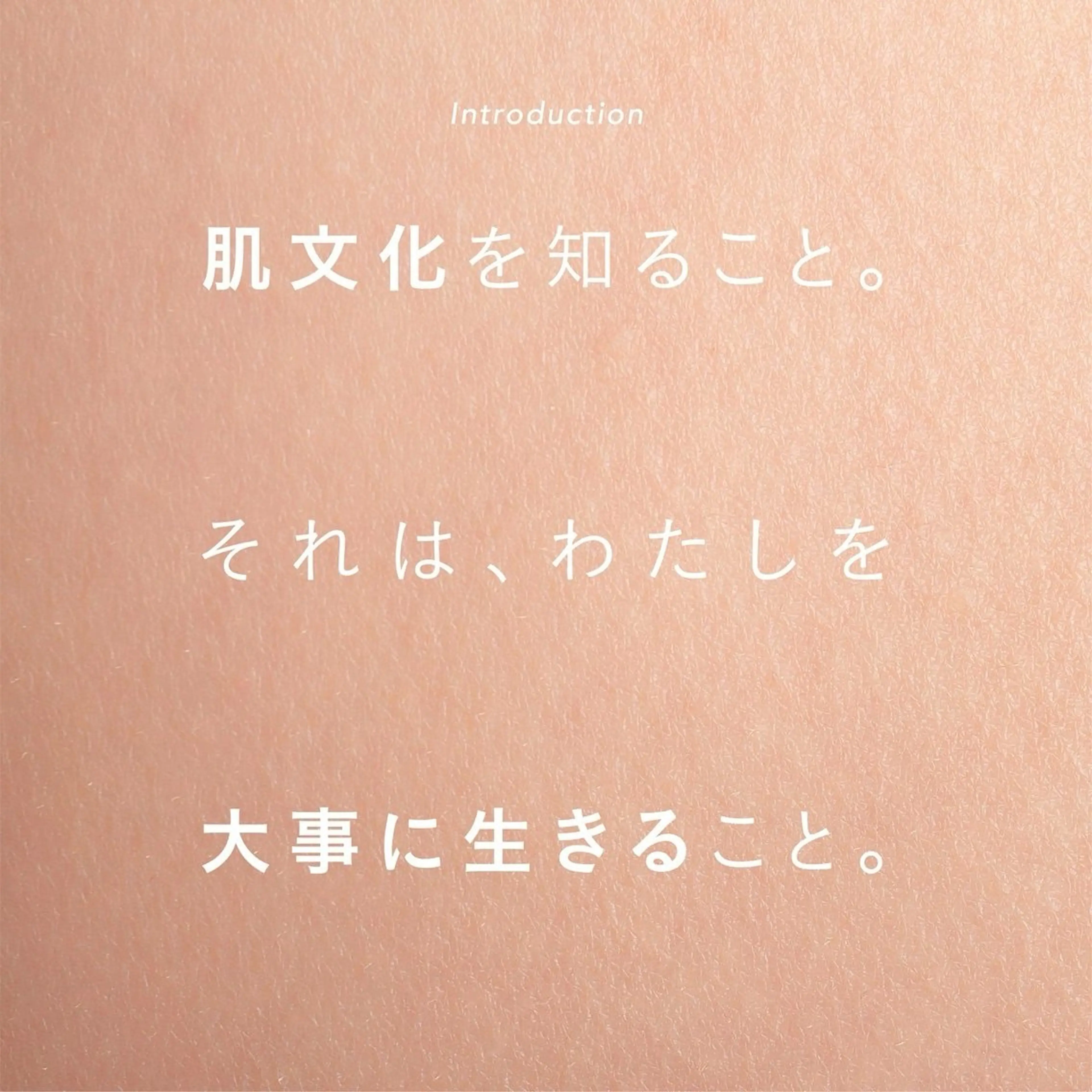 高橋 真麻のエステ・リラクイメージ