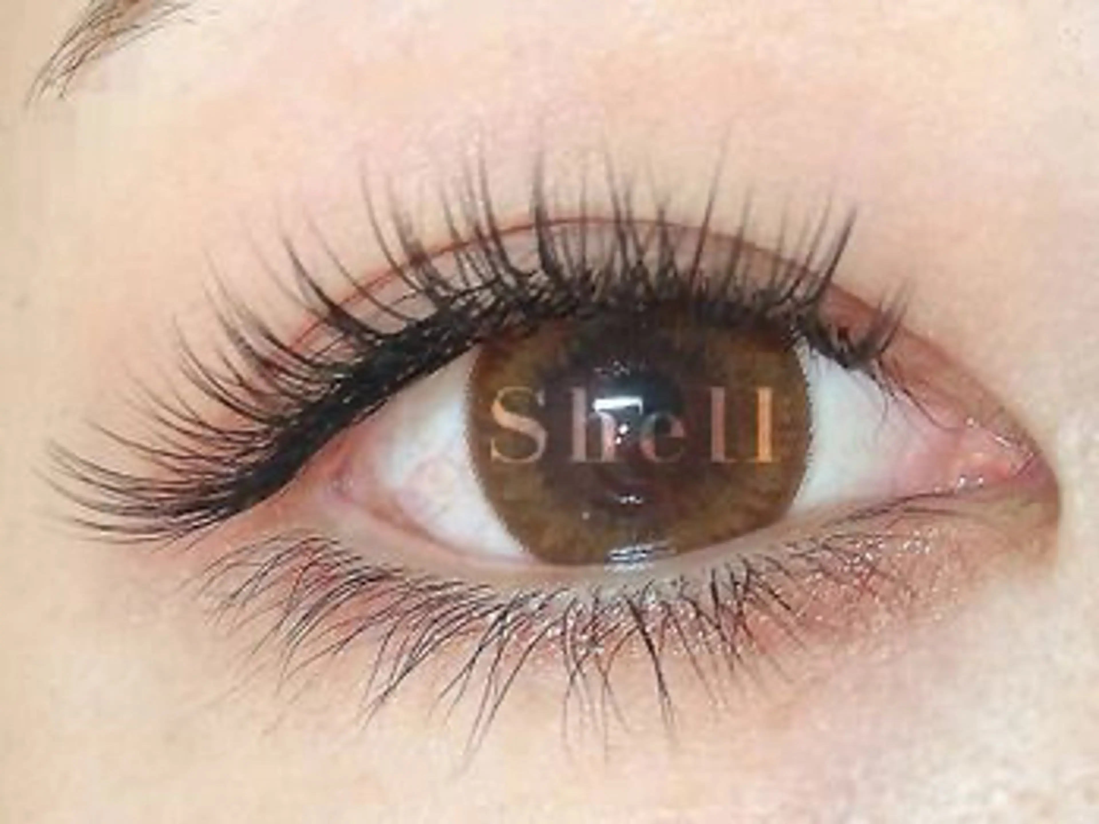 マツエク・マツパ ネイリスト Monikaのネイルデザイン