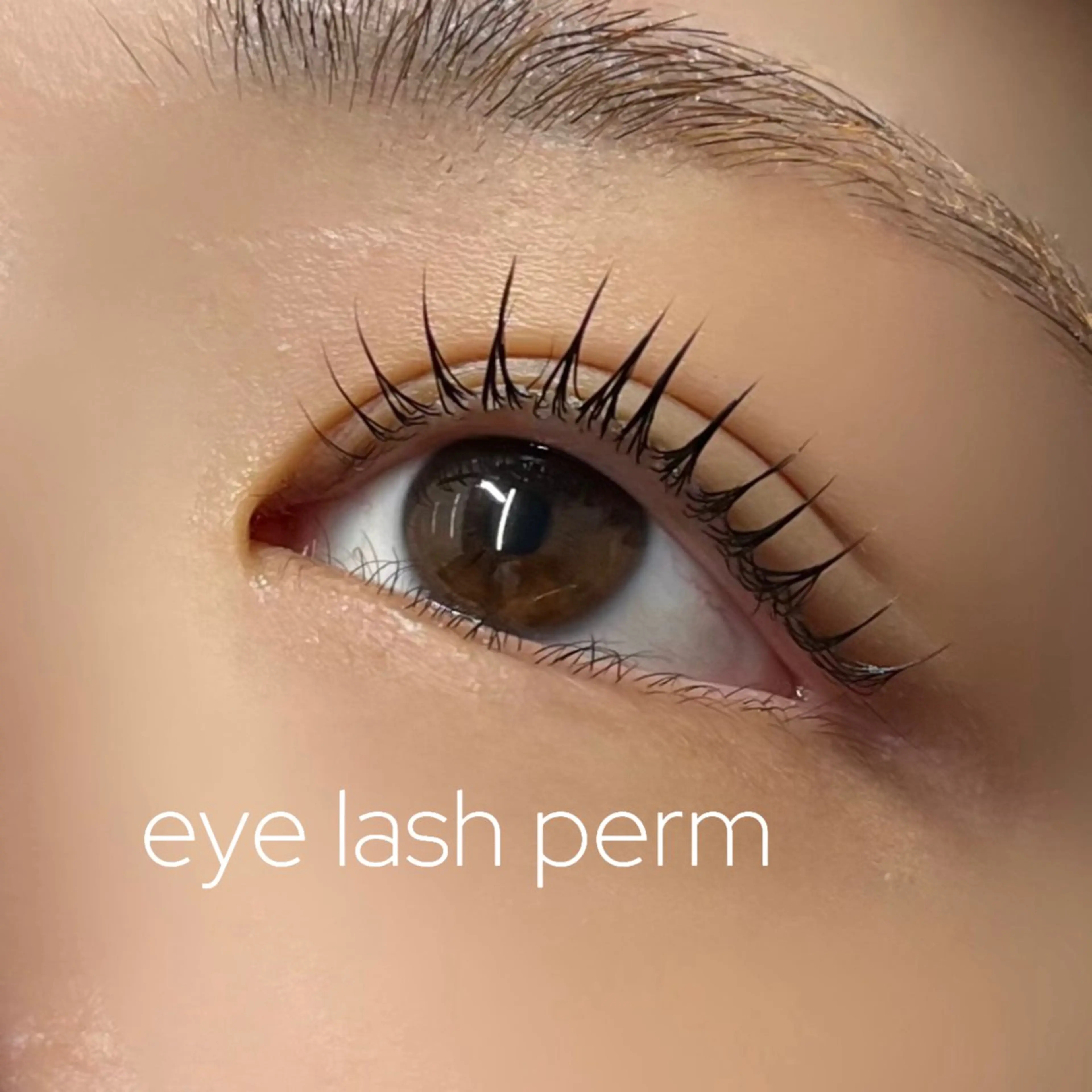 マツエク・マツパ huluhulu Yabumotoのマツエク・マツパデザイン