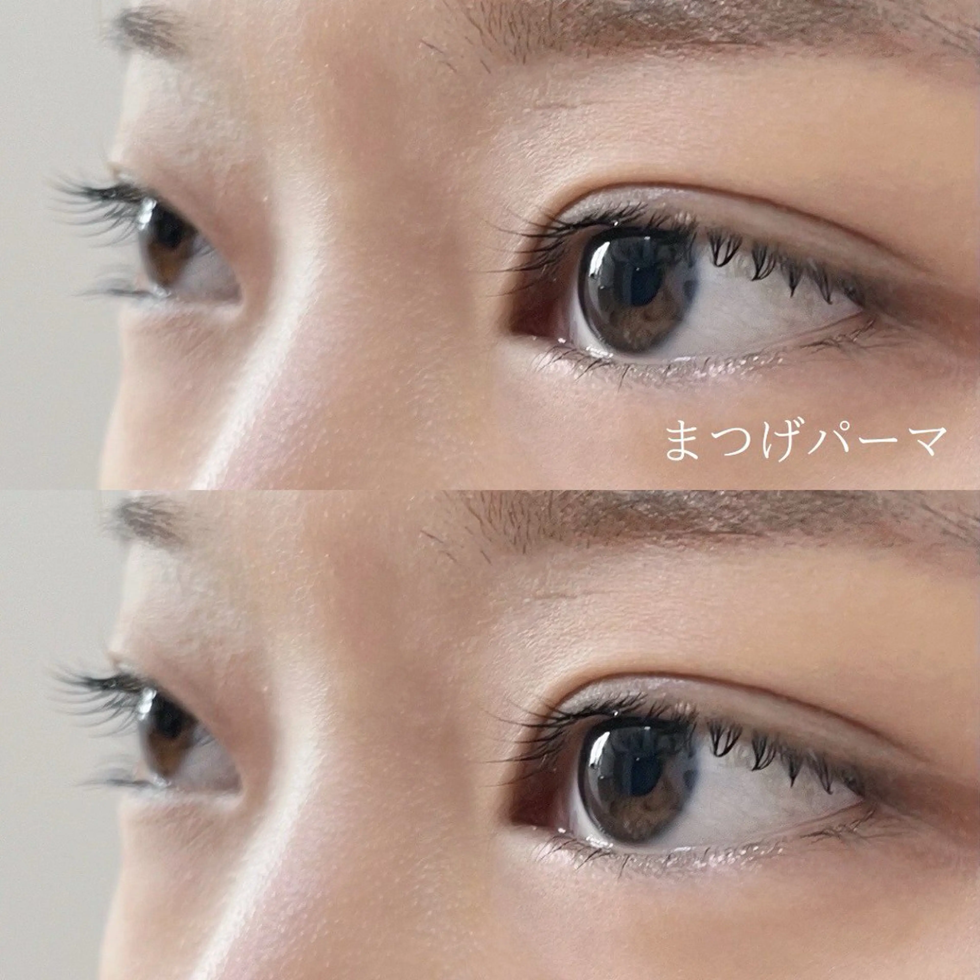 マツエク・マツパ ナチュラル まつげパーマ マツパ sete所属・sete💫 mizukiのマツエク・マツパデザイン