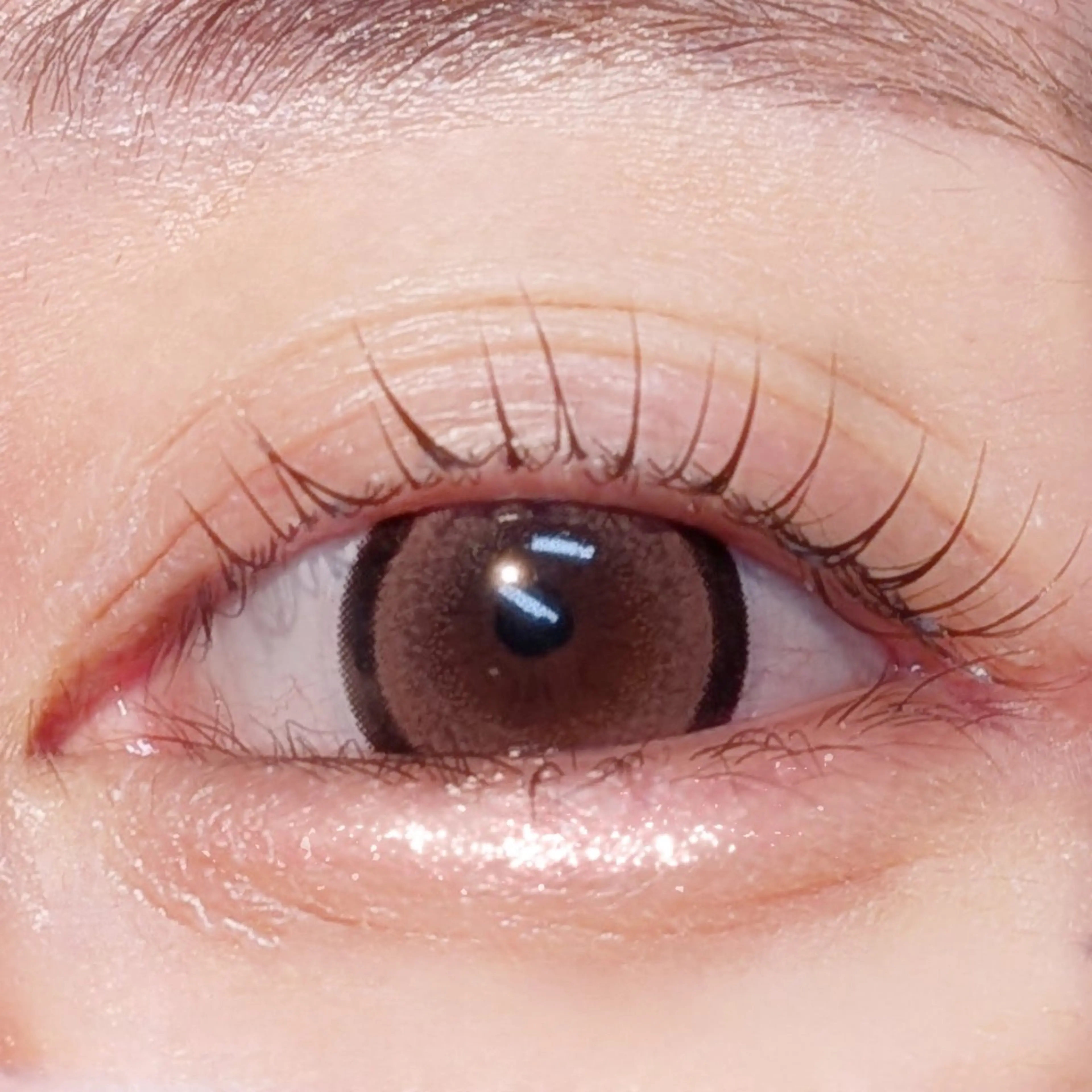 マツエク・マツパ リュープリエ所属・🎀心斎橋束感まつ毛 &美眉MOENO🎀のマツエク・マツパデザイン