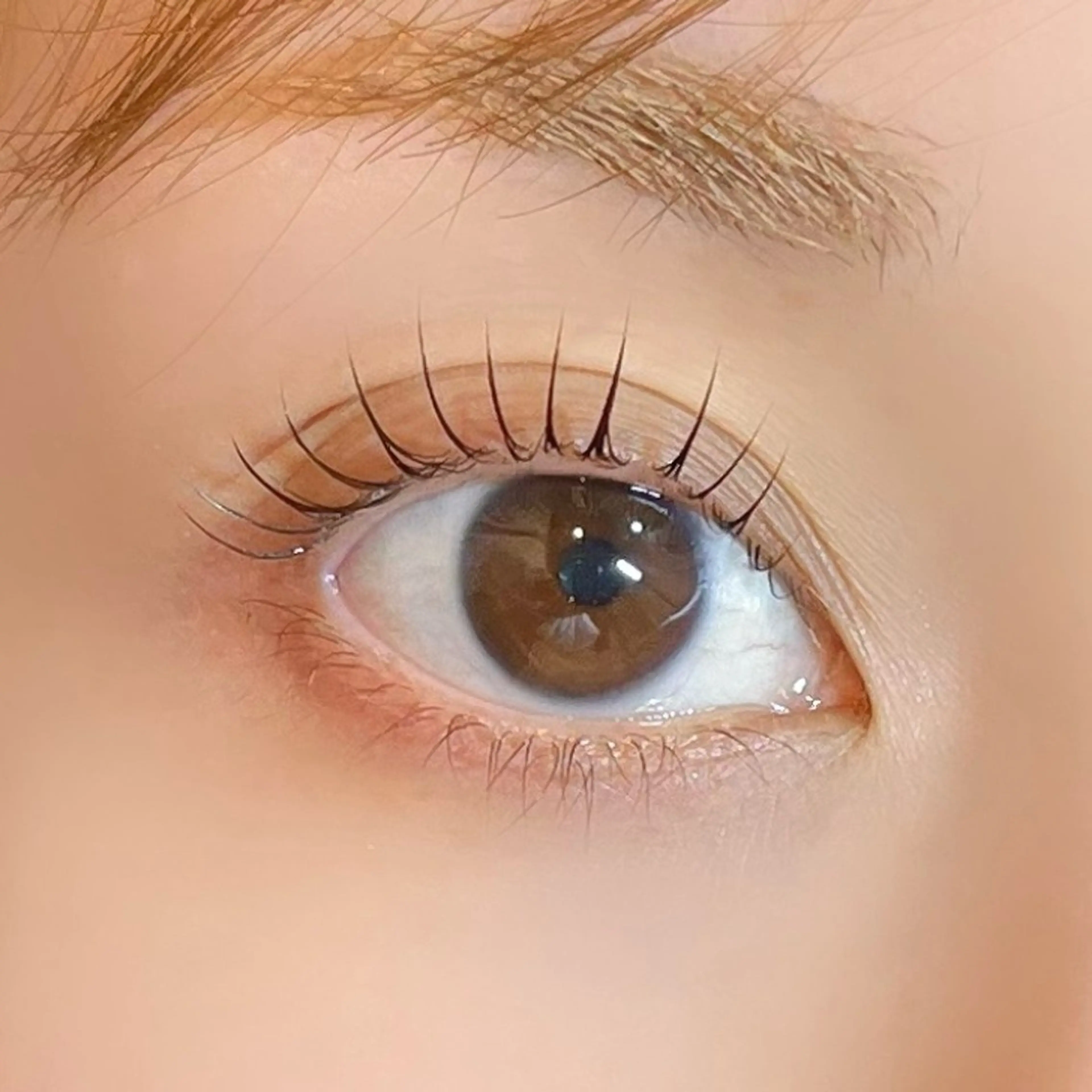 マツエク・マツパ マツパ Rafre所属・Rafre【ラフレ】 タカヤマのマツエク・マツパデザイン