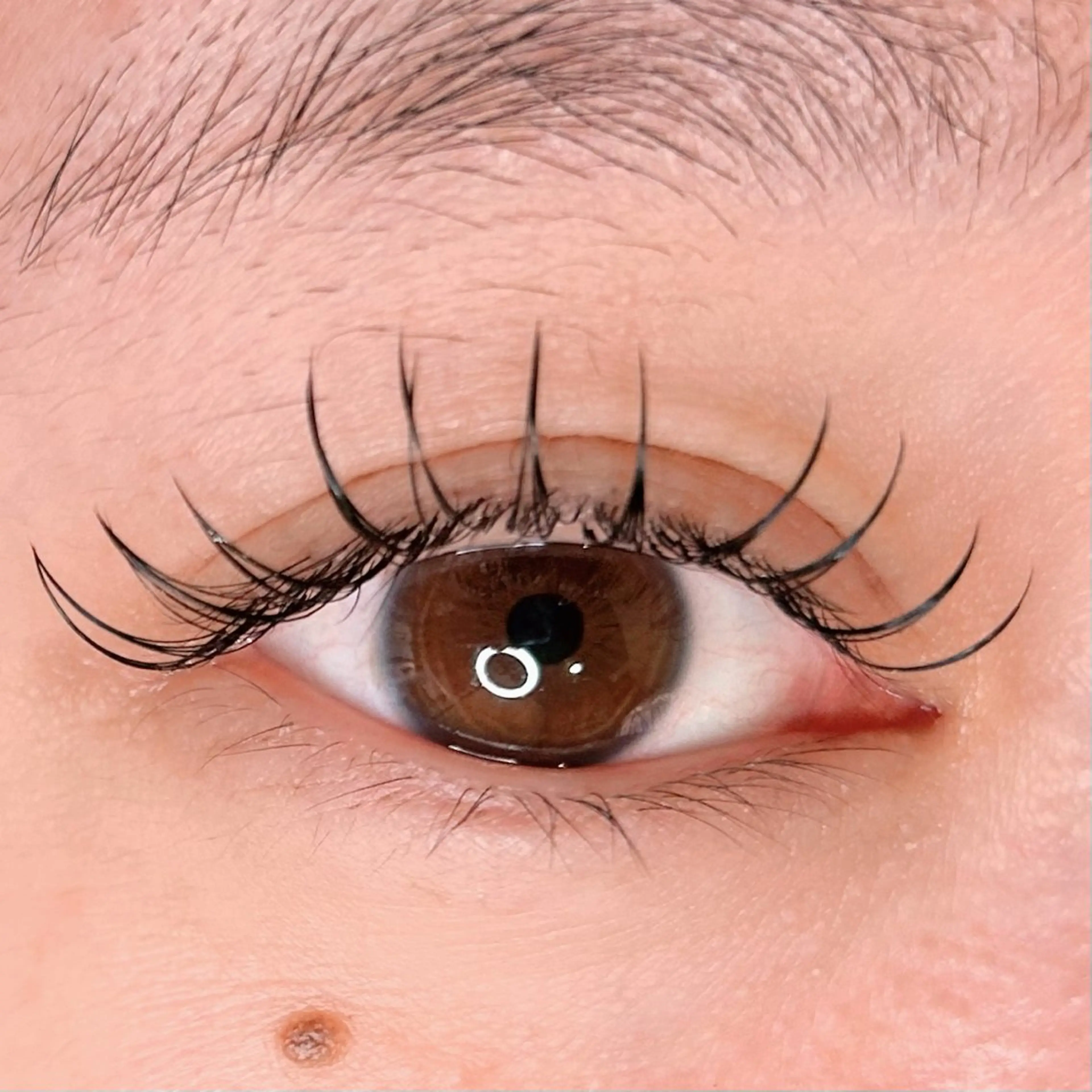 フラットラッシュ60本🎀LED変更可能(オフ込み)の写真