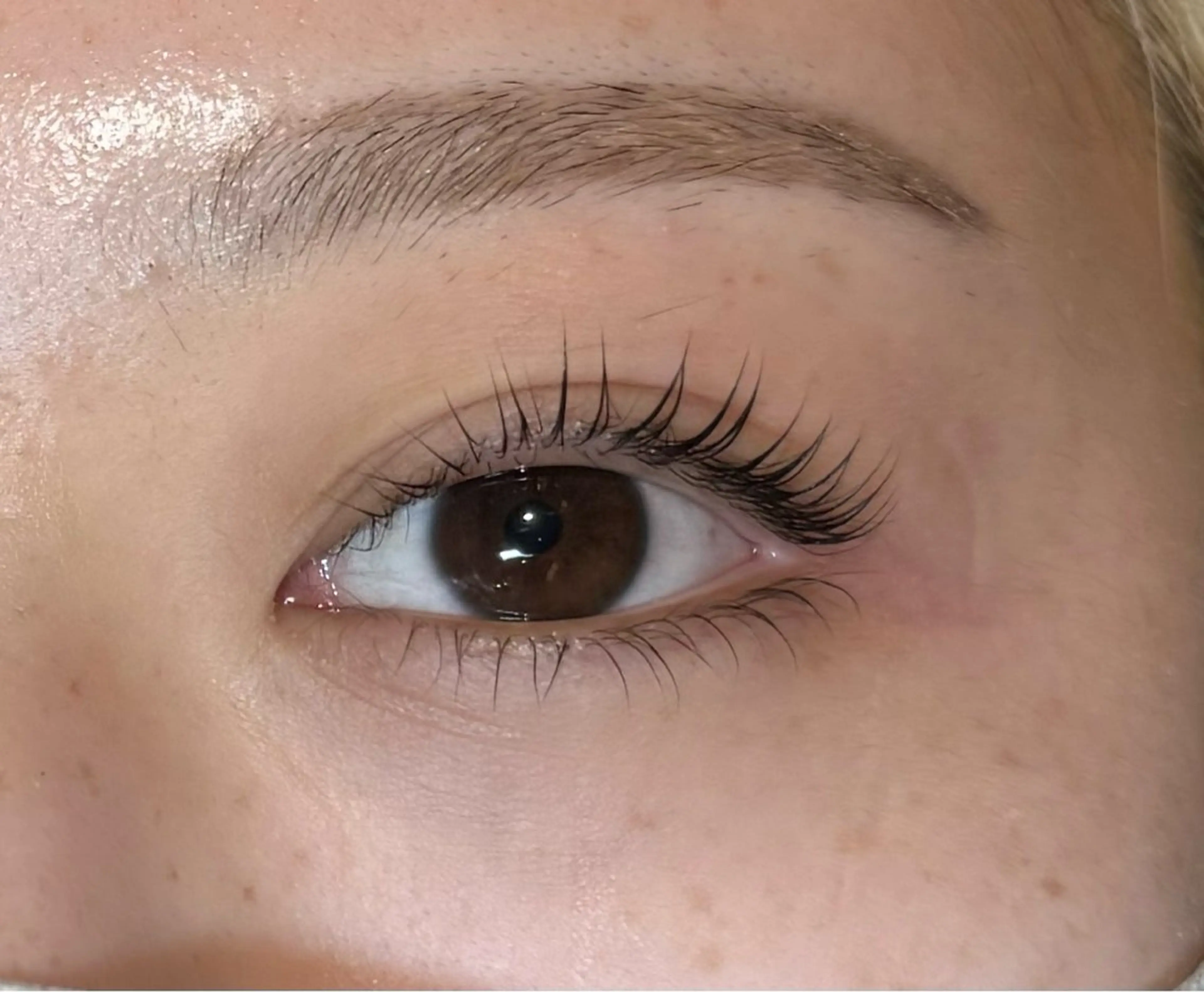 マツエク・マツパ パリジェンヌラッシュリフト lash & brow PORTE269所属・PORTE269🦋 Maika.のマツエク・マツパデザイン