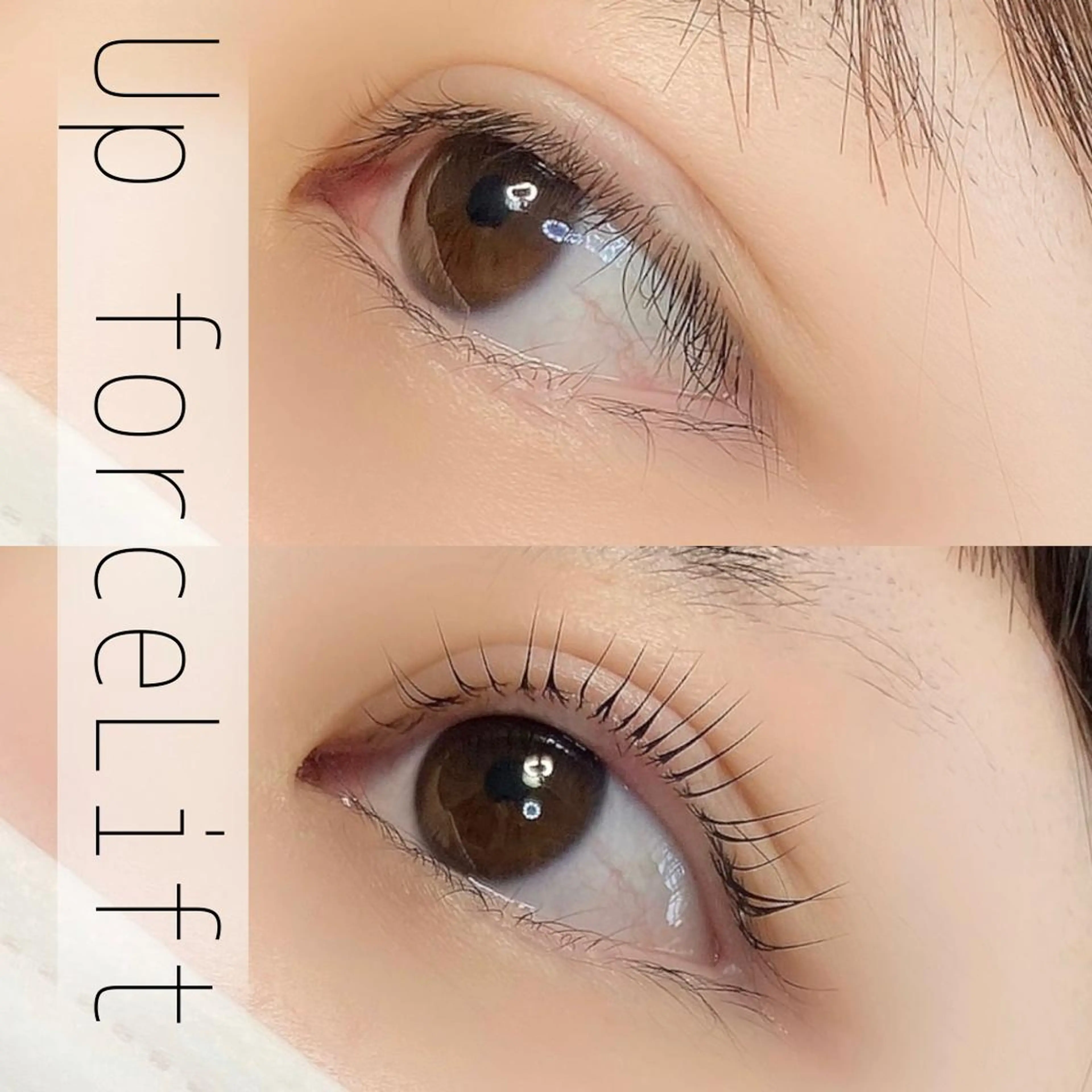 マツエク・マツパ 内藤 由貴のマツエク・マツパデザイン