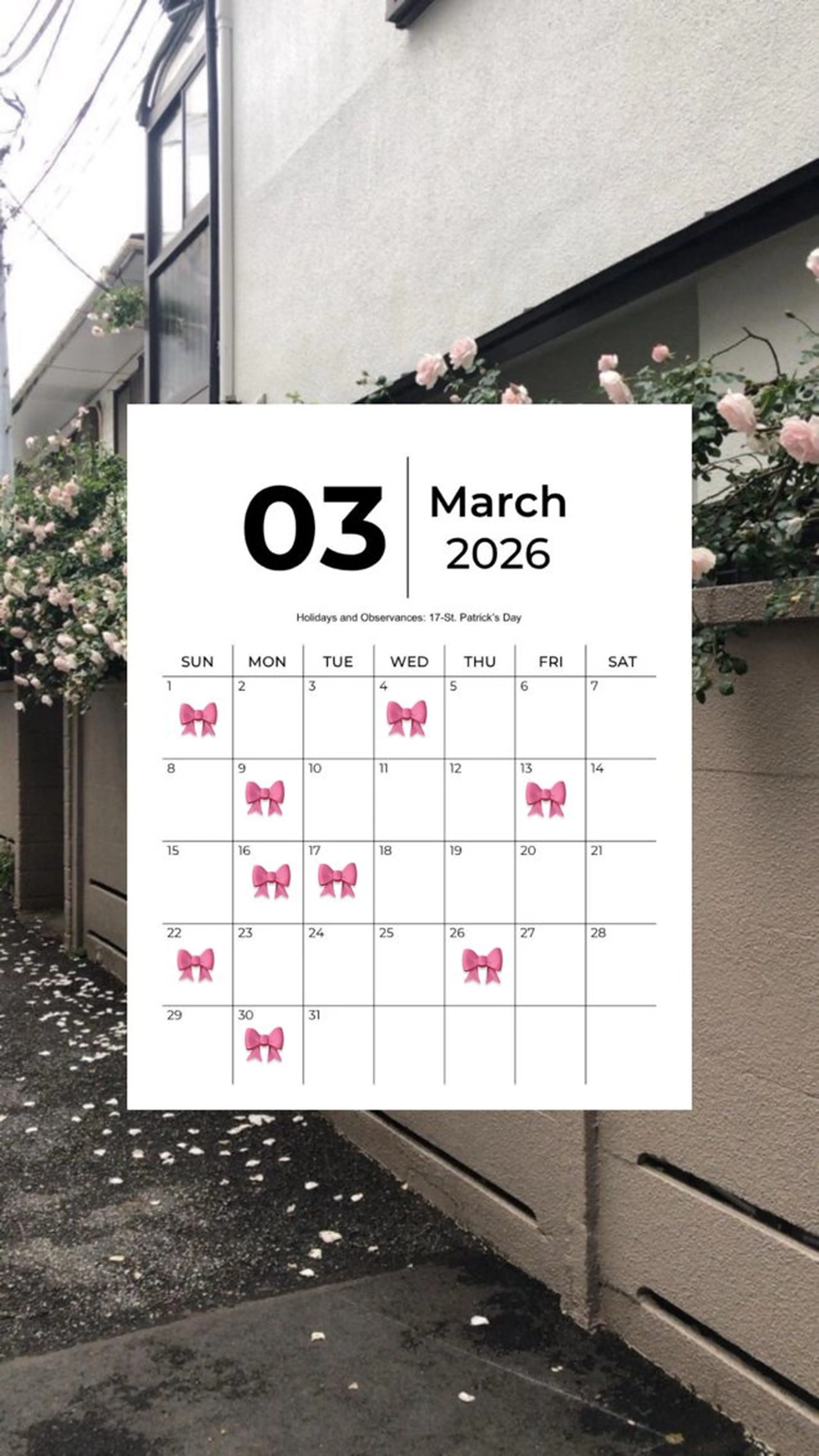 Chaton  ♡ KIRIKOSHIのマツエク・マツパデザイン