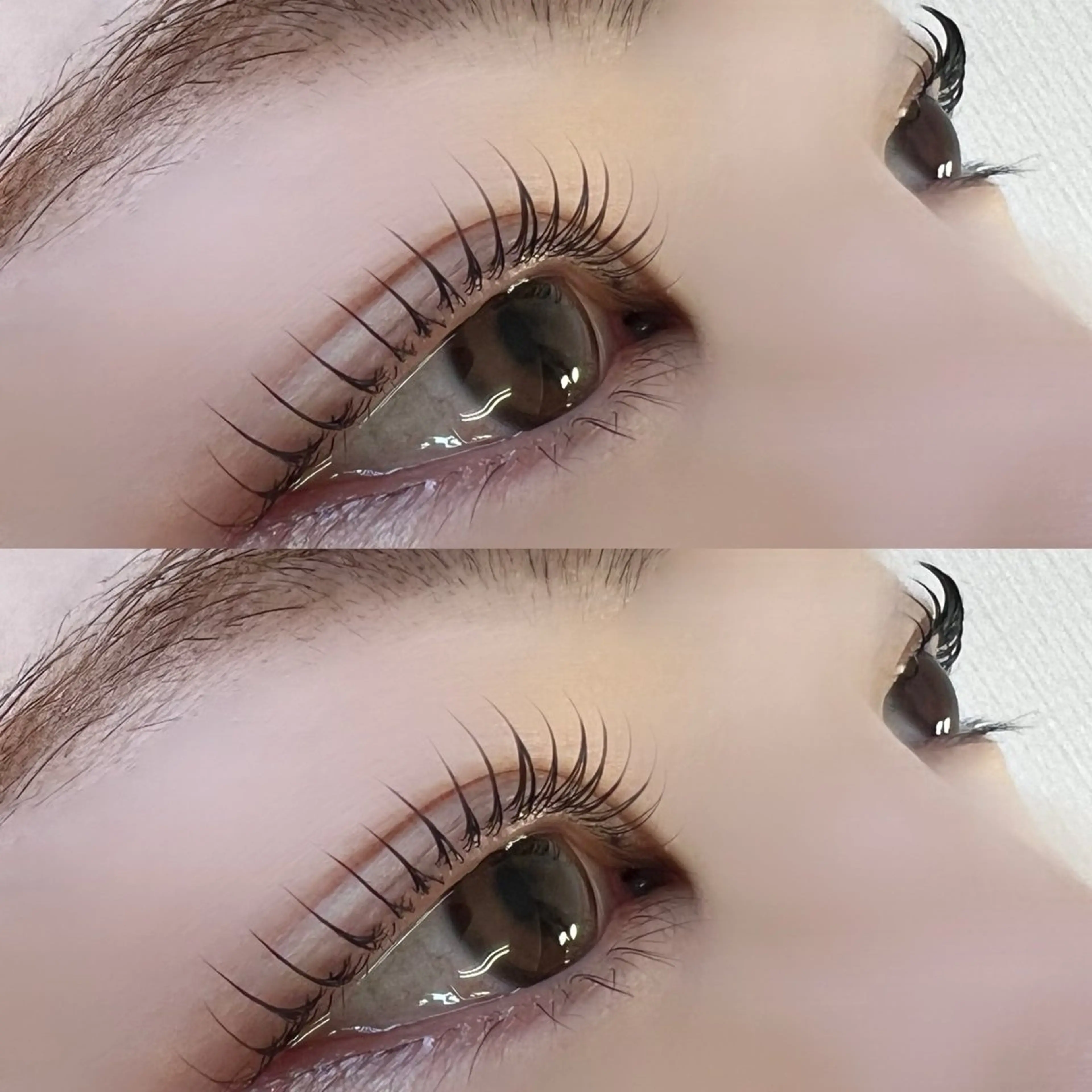 マツエク・マツパ マリーテレジア🩵 しゅい🪽🫧の眉毛・アイブロウイメージ