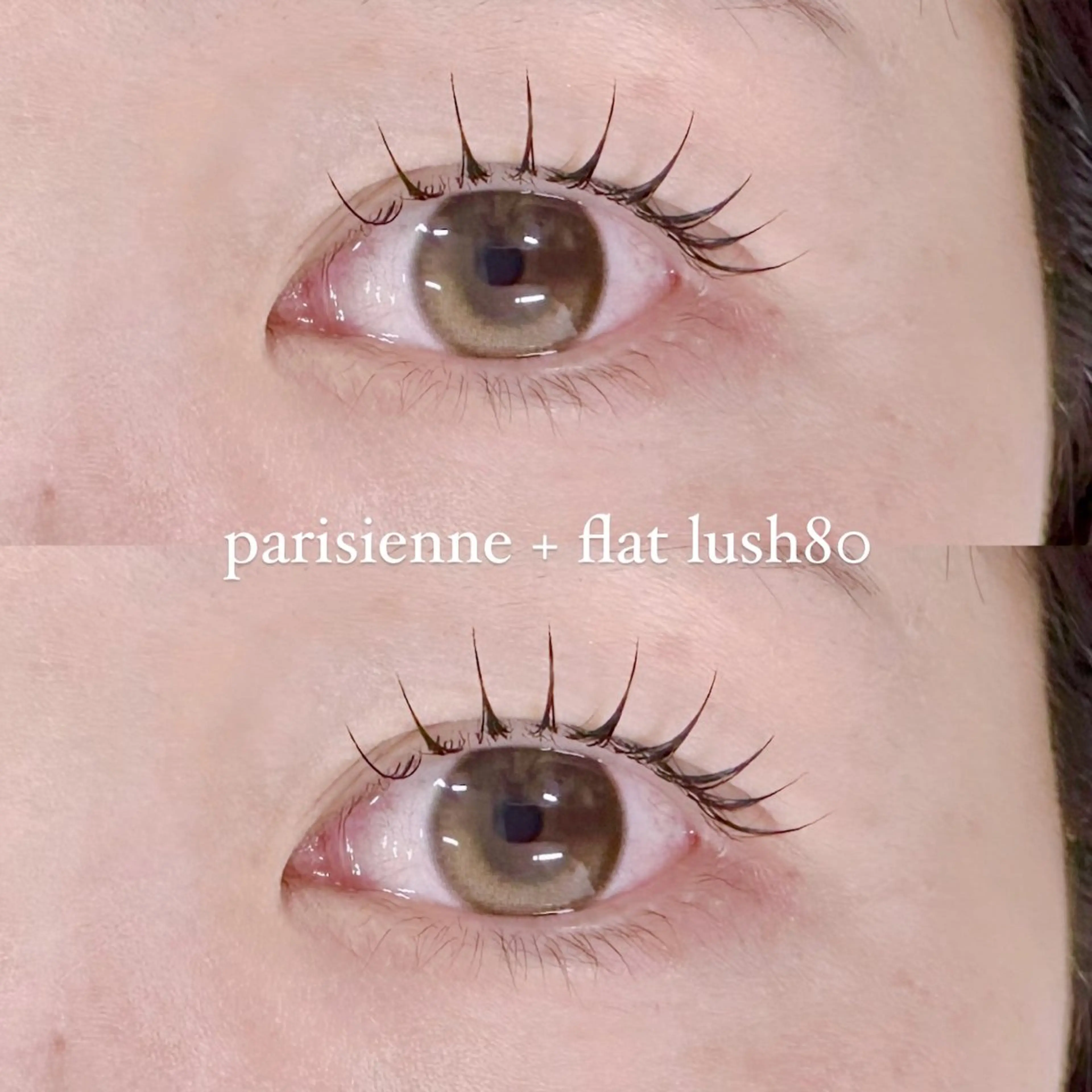 マツエク・マツパ Shucre名駅🤍 AYUのマツエク・マツパデザイン