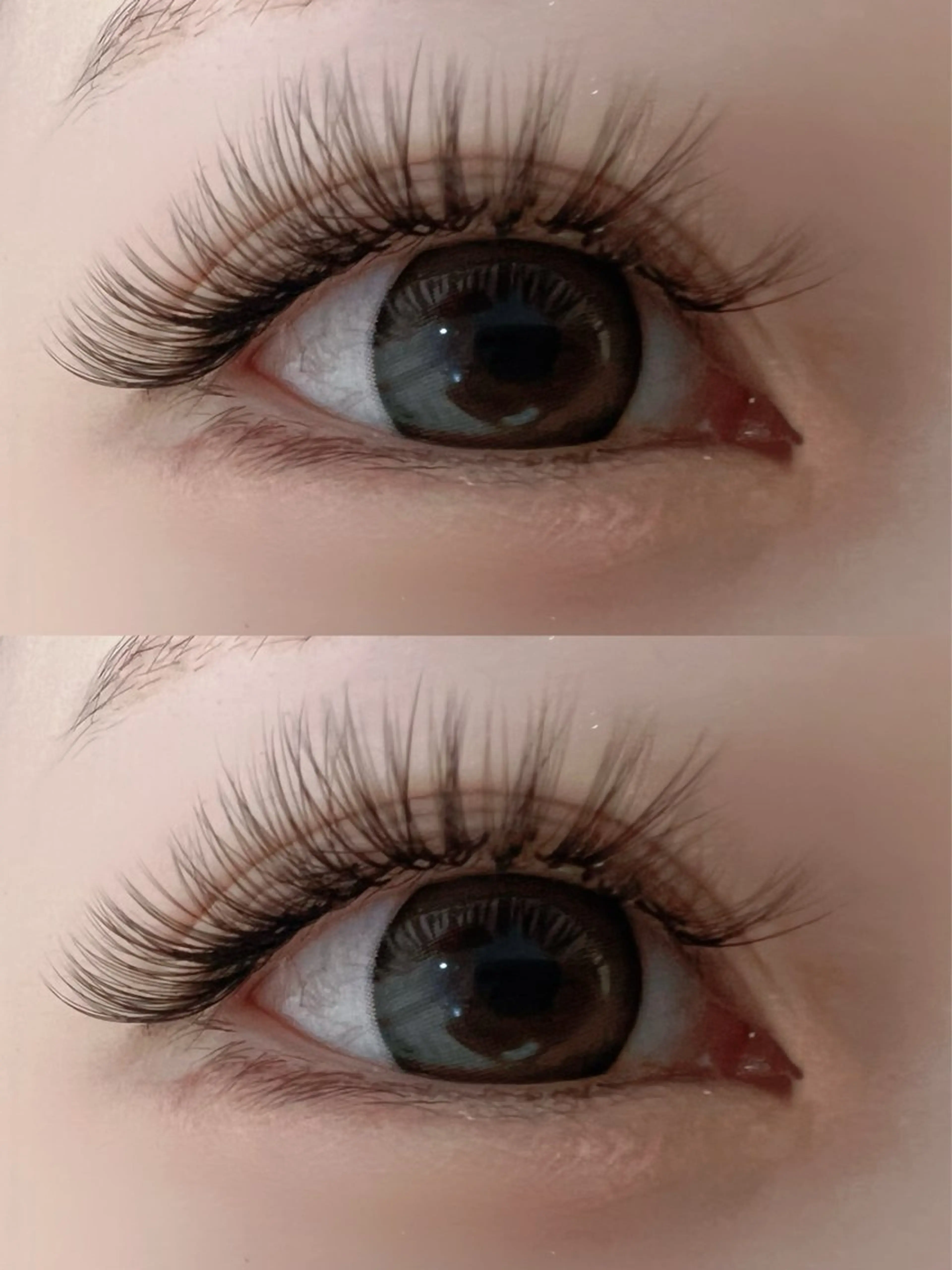 マツエク・マツパ 付け放題 バインドロック 束感まつ毛 カラーマツエク フラットラッシュ Ｍ salon アイラッシュのマツエク・マツパデザイン